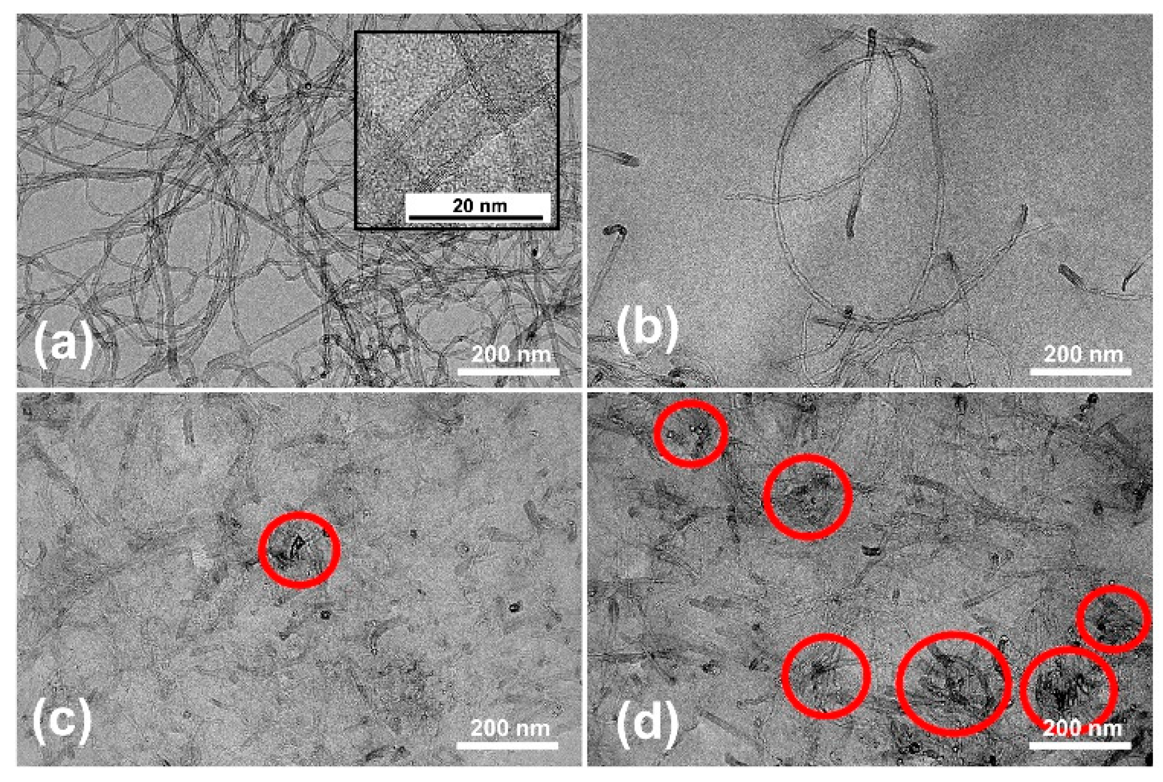 Nanomaterials 09 00881 g006 Nanomaterials 09 00881 g006