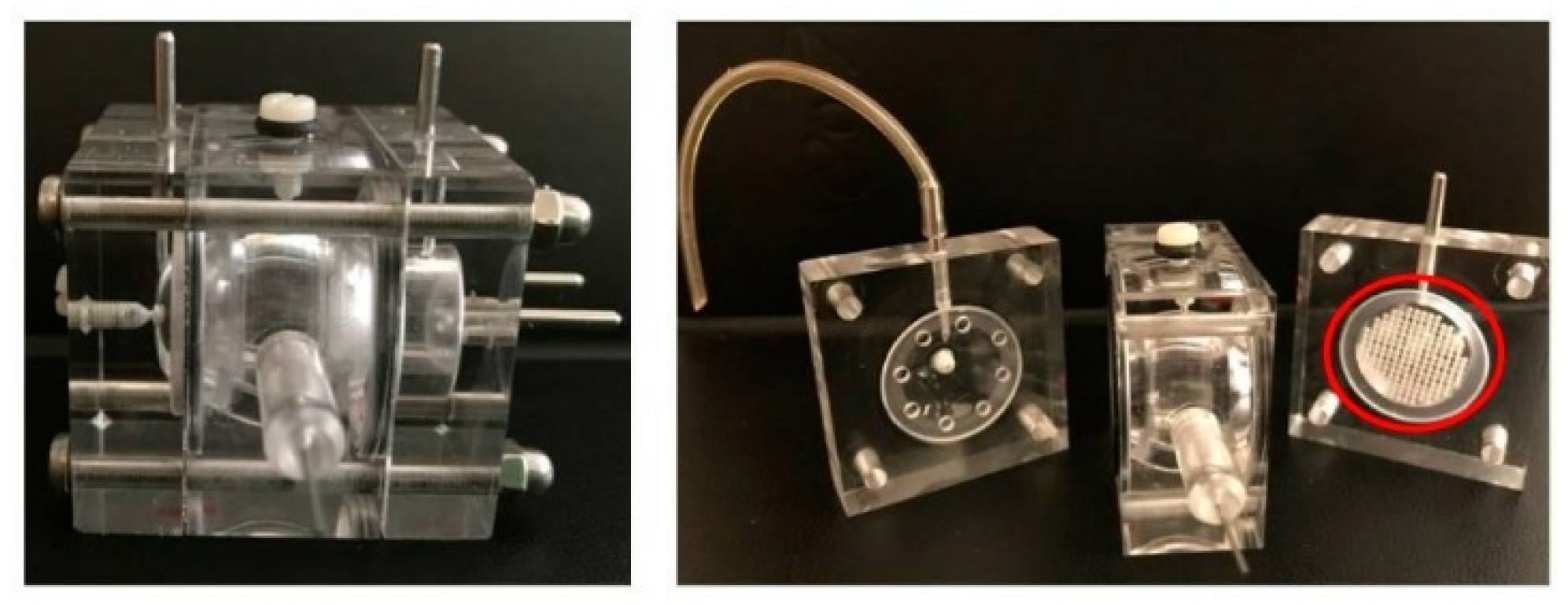 Nanomaterials 09 00884 g002