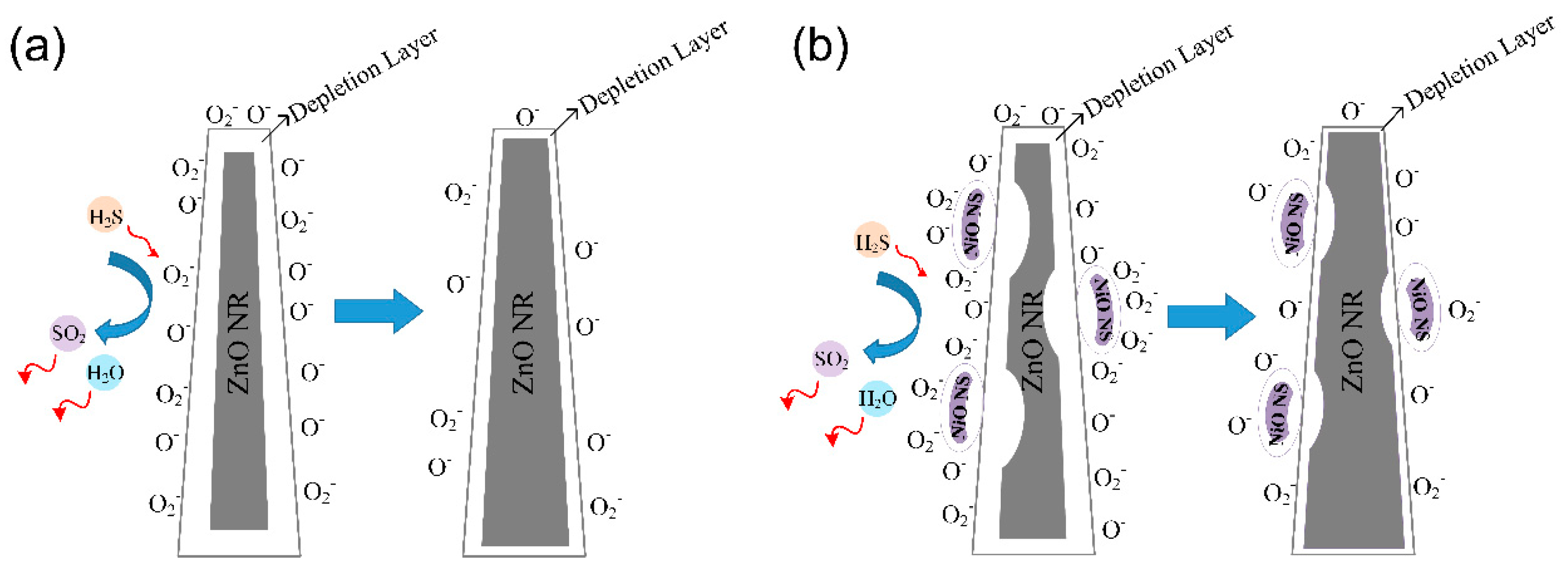 Nanomaterials 09 00900 g009 Nanomaterials 09 00900 g009