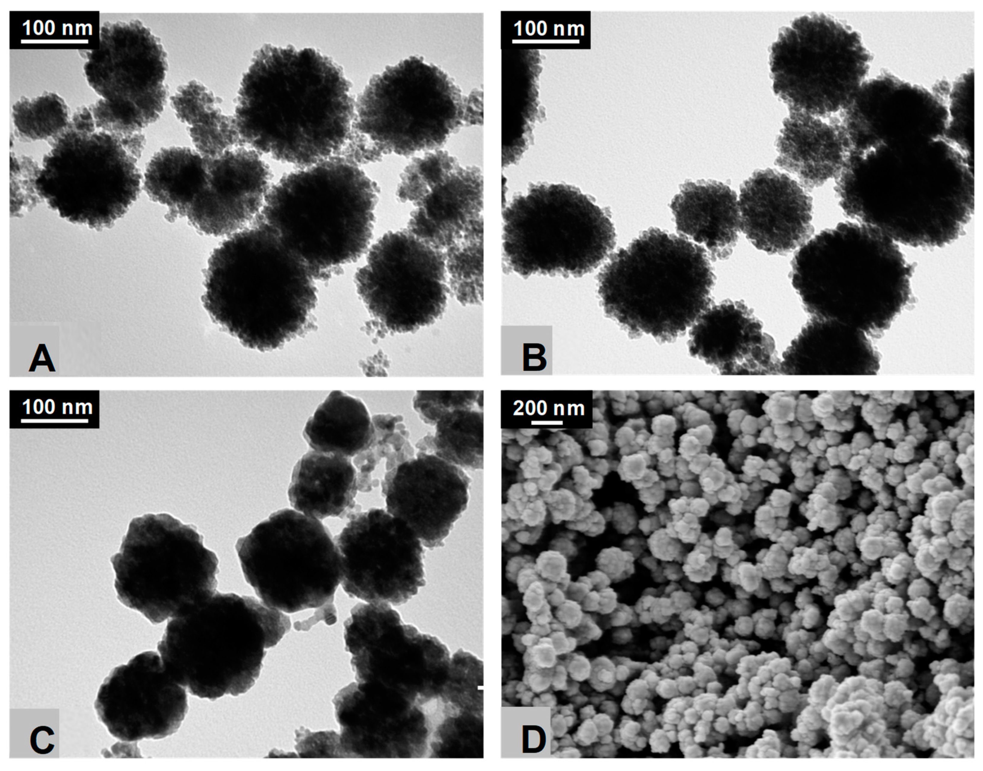 Nanomaterials 09 00901 g001 550