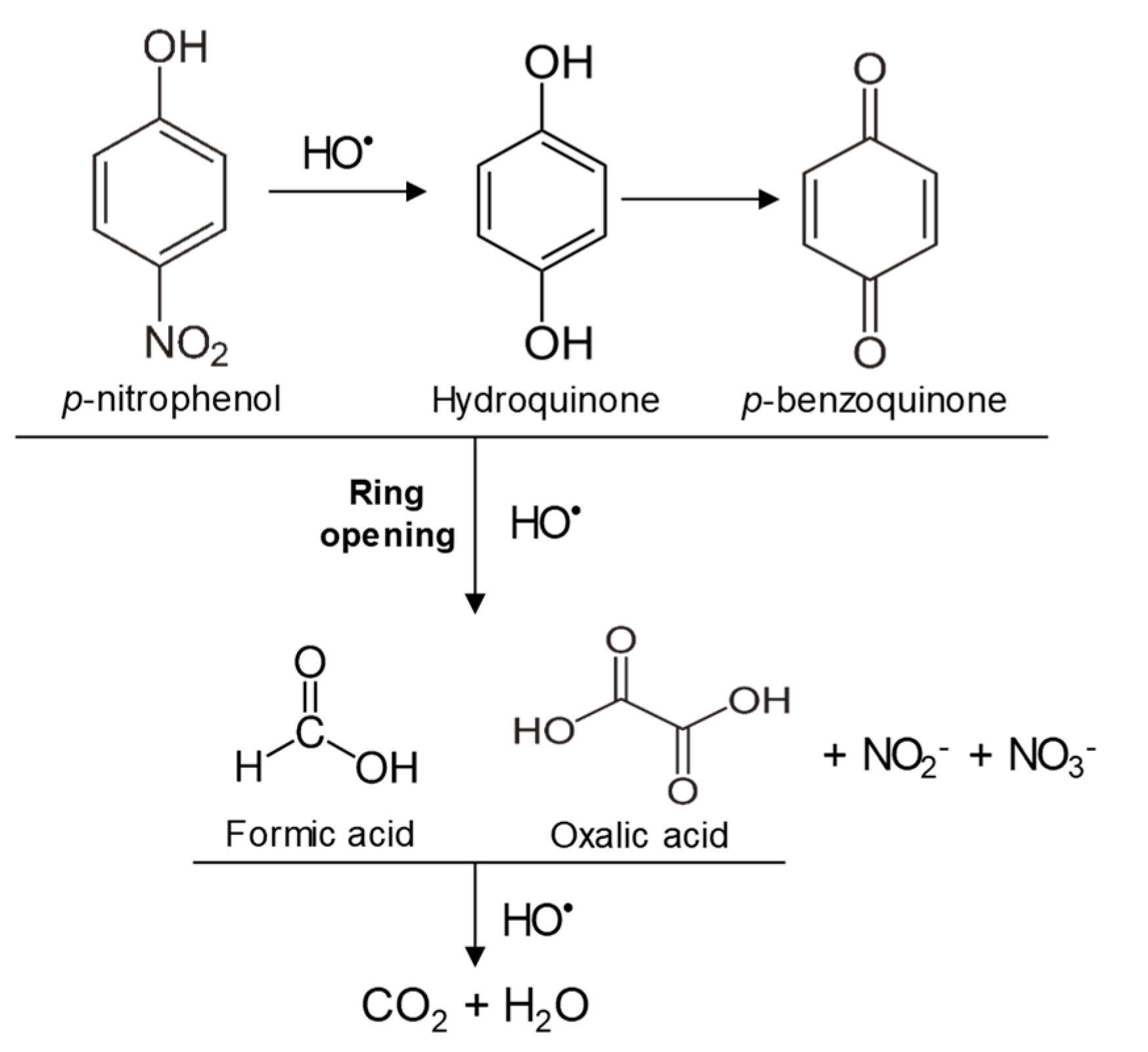 Nanomaterials 09 00901 g011 550