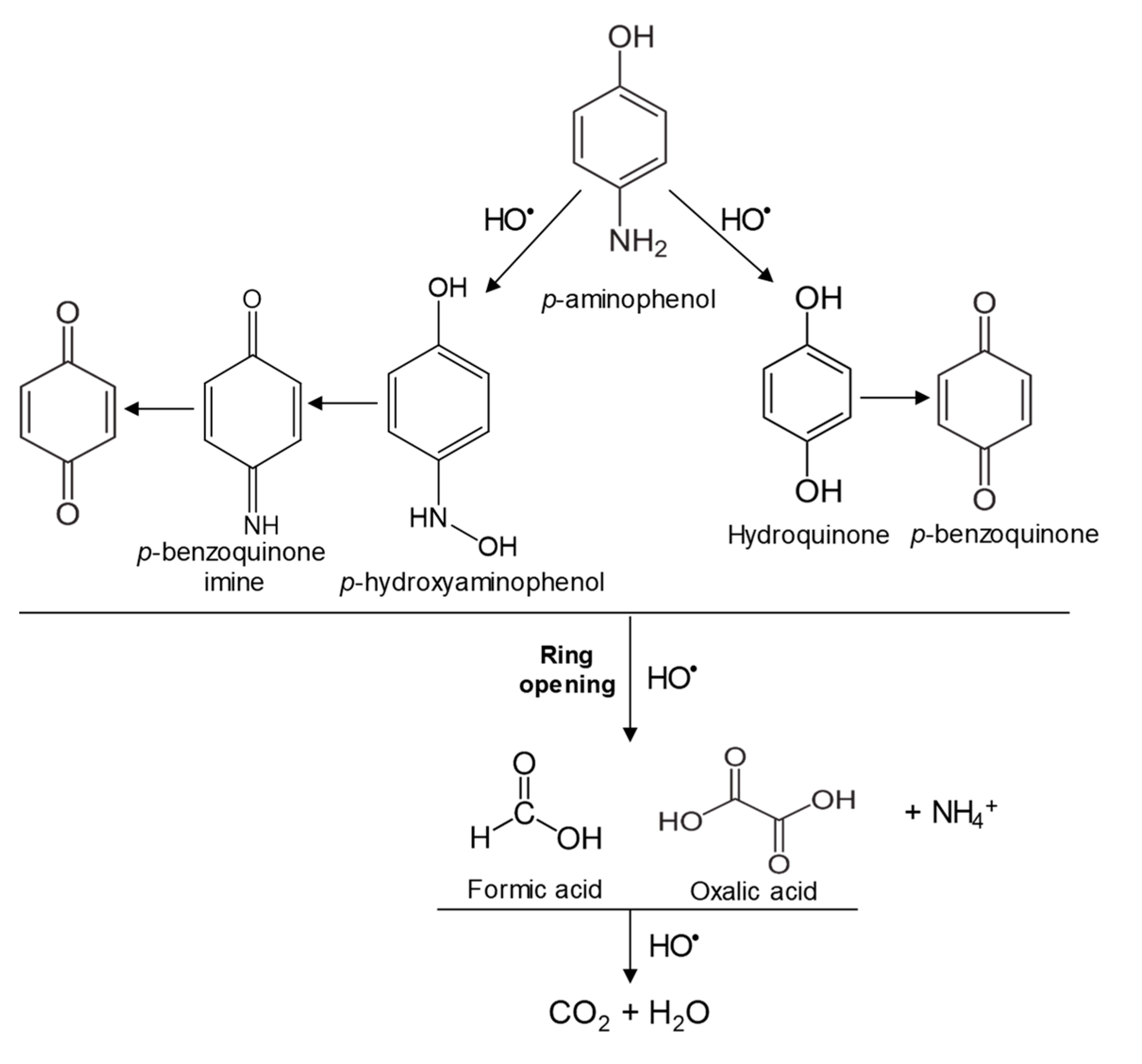 Nanomaterials 09 00901 g012 550
