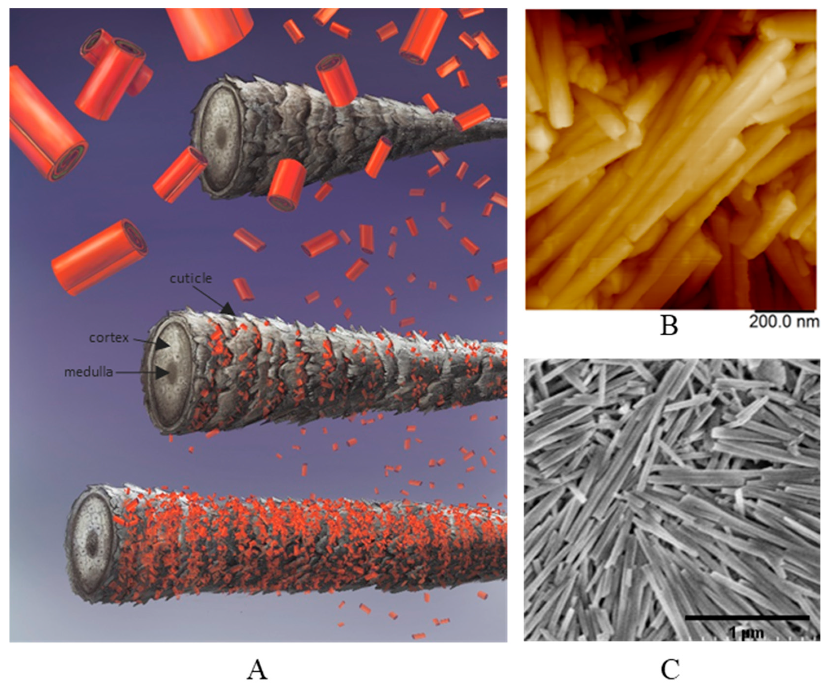 Nanomaterials 09 00903 g001 Nanomaterials 09 00903 g001