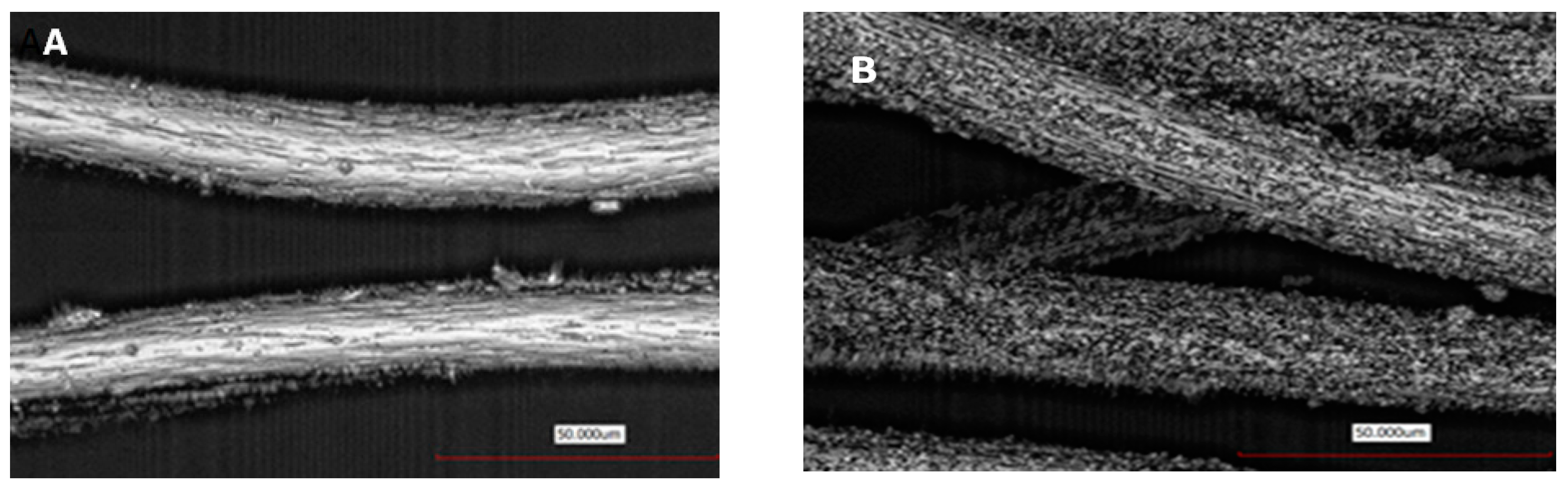 Nanomaterials 09 00903 g005 Nanomaterials 09 00903 g005