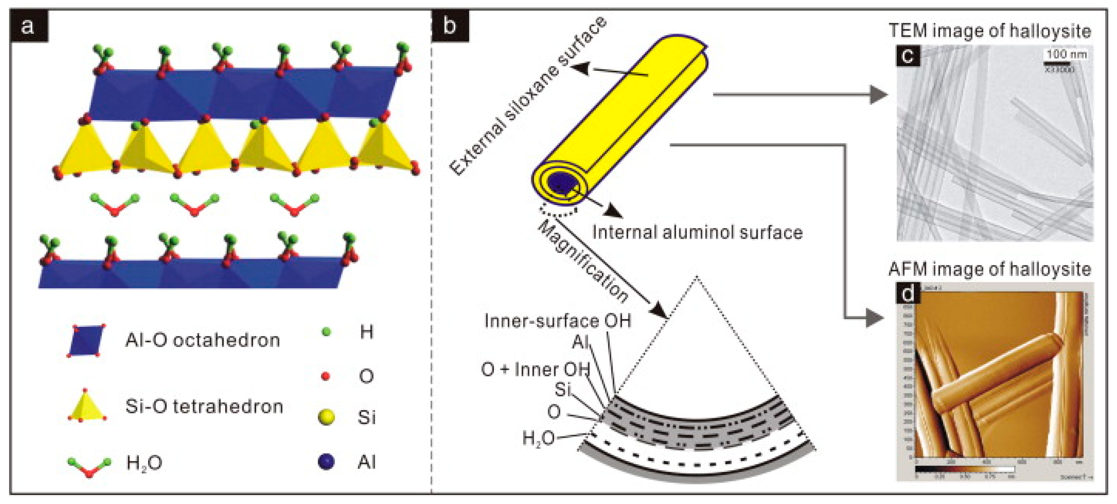 Nanomaterials 09 00903 sch001 Nanomaterials 09 00903 sch001