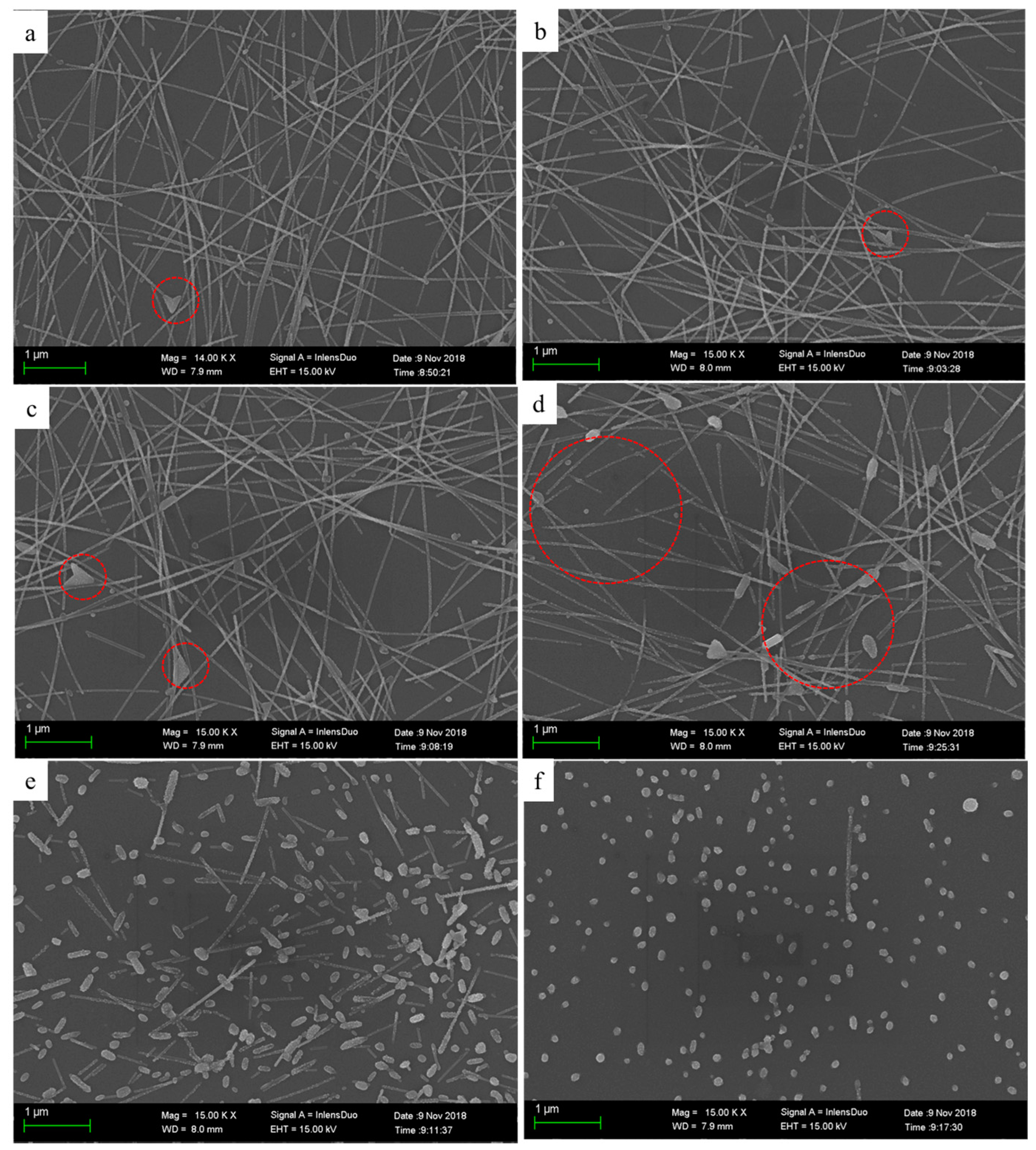 Nanomaterials 09 00904 g003