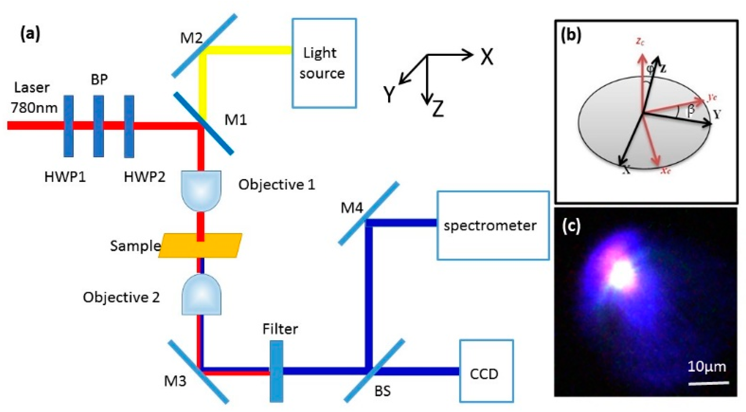 Nanomaterials 09 00905 g001