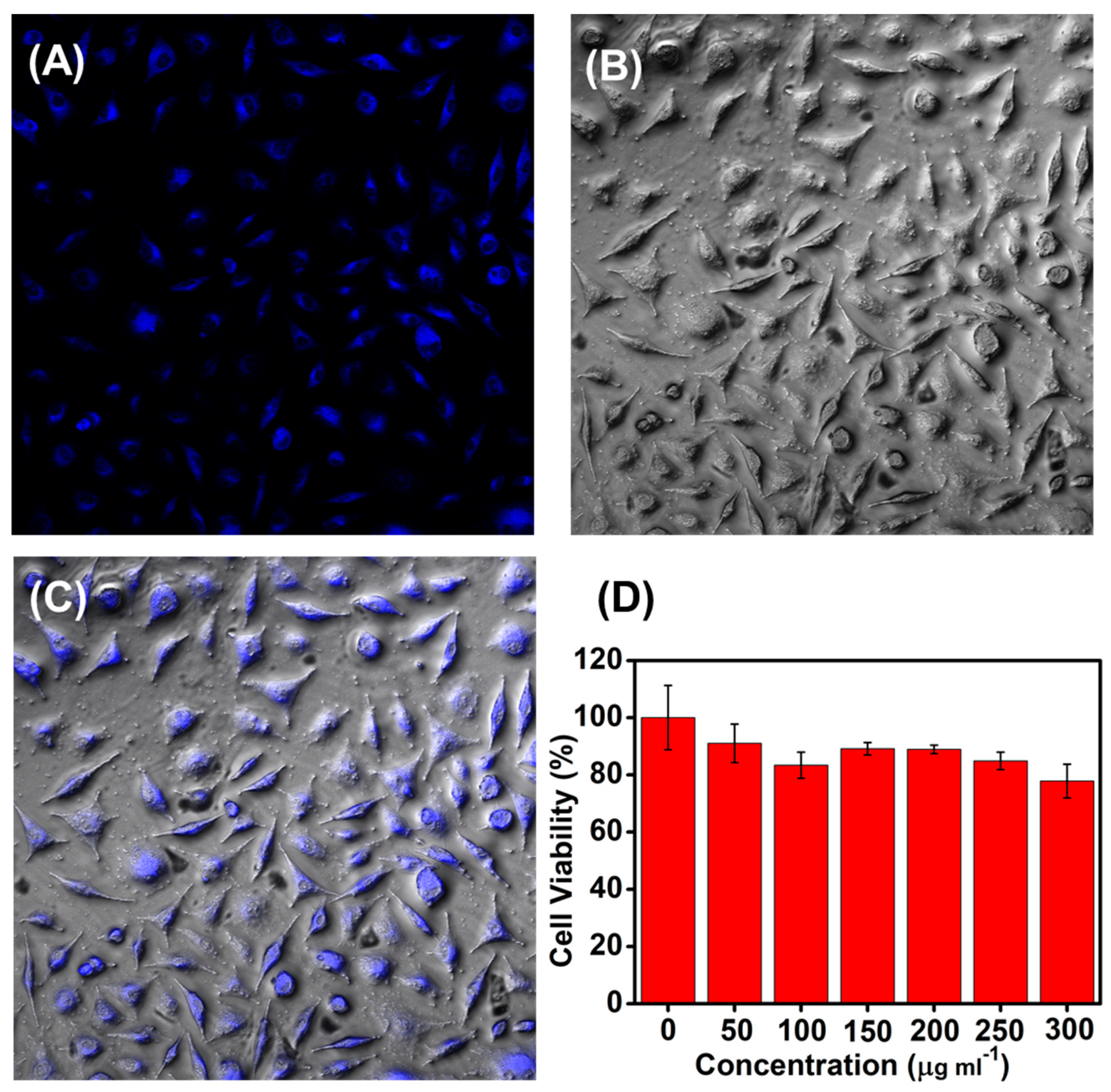 Nanomaterials 09 00906 g004
