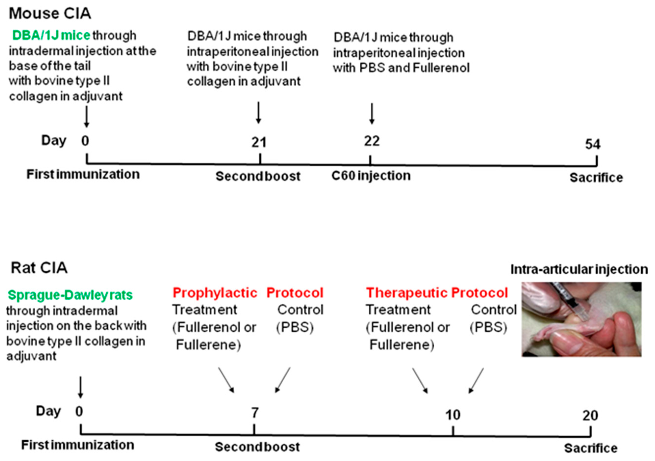 Nanomaterials 09 00909 g002
