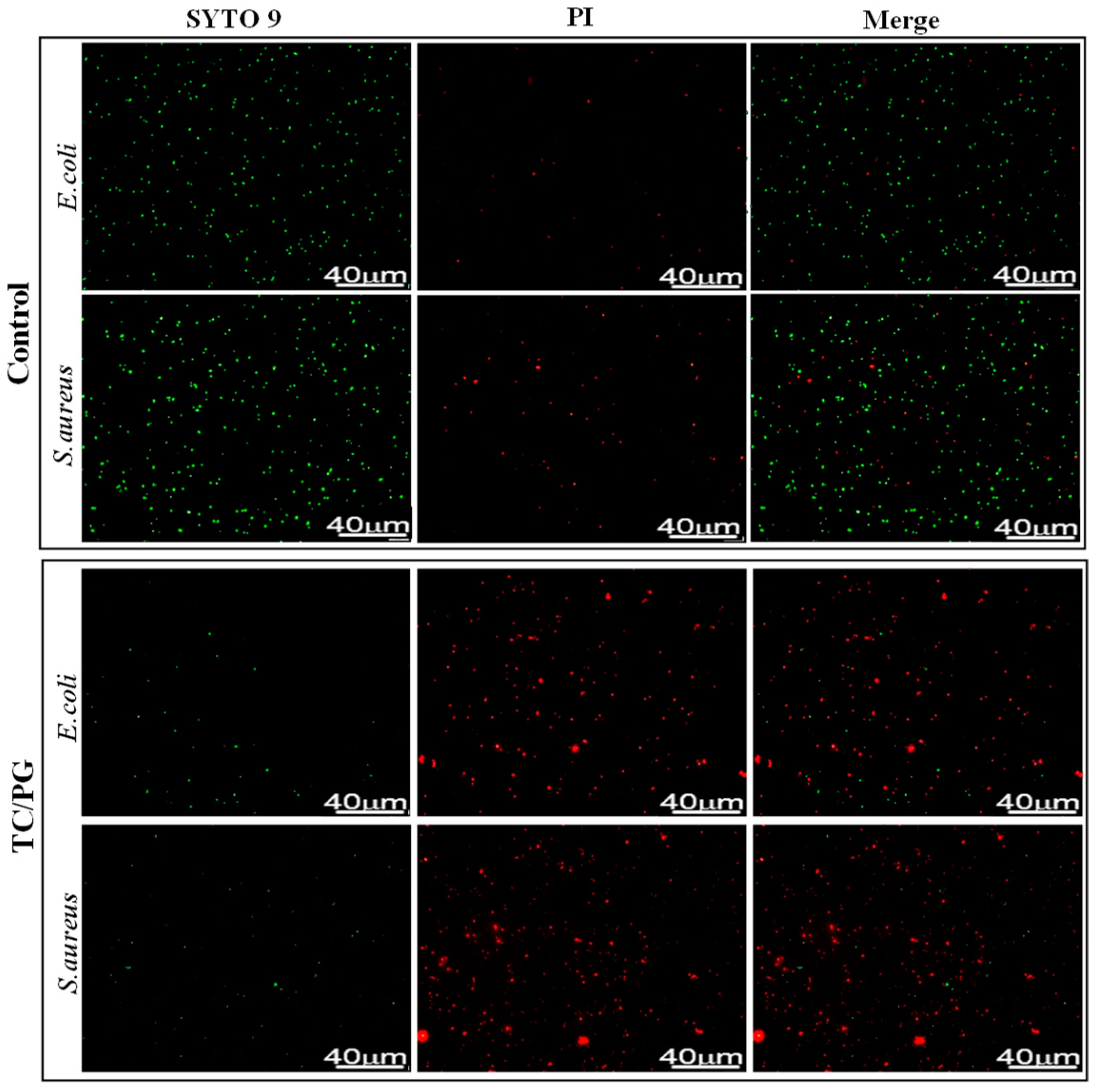 Nanomaterials 09 00913 g005 Nanomaterials 09 00913 g005