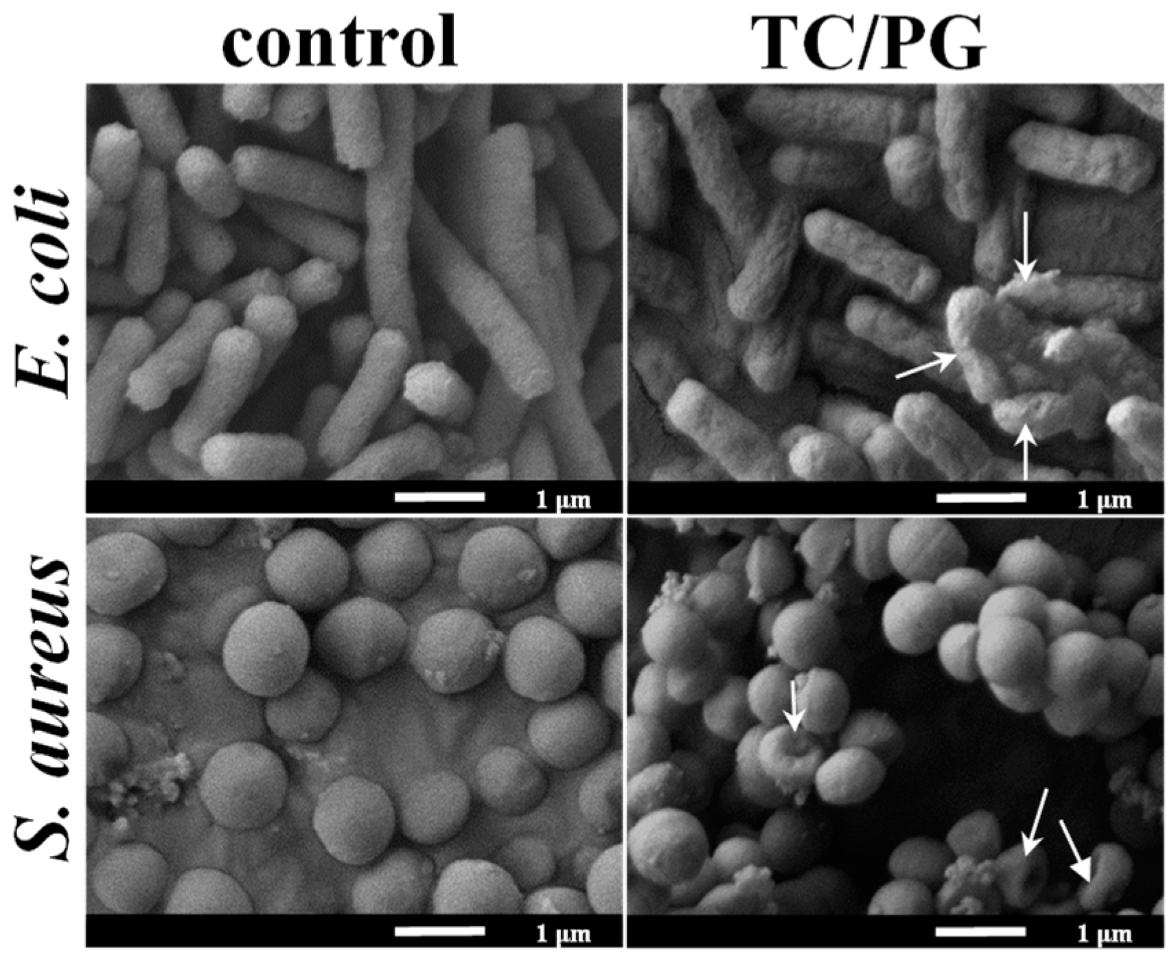 Nanomaterials 09 00913 g006 Nanomaterials 09 00913 g006