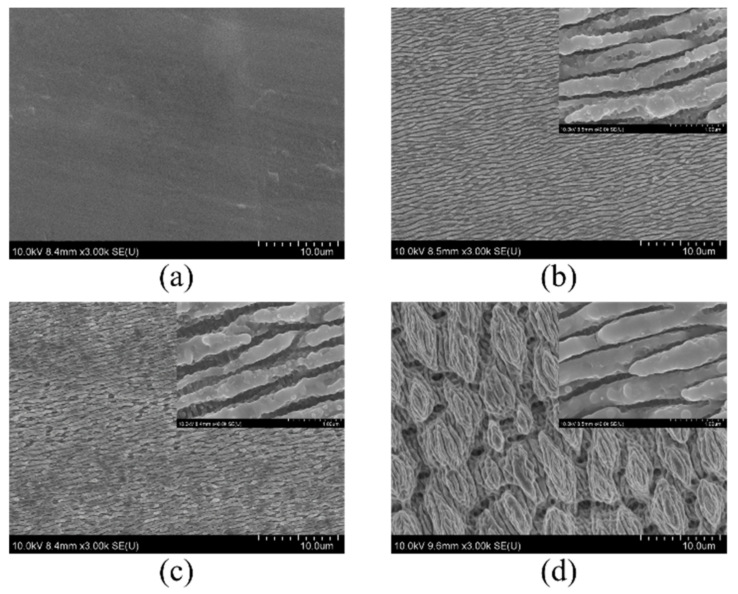 Nanomaterials 09 00916 g001