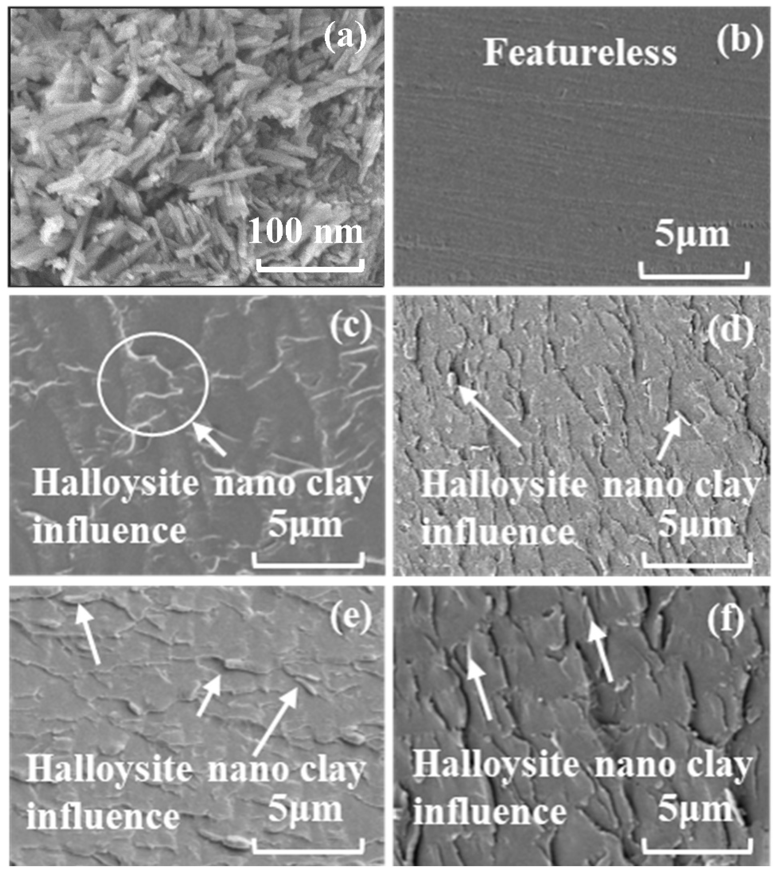 Nanomaterials 09 00917 g004 Nanomaterials 09 00917 g004