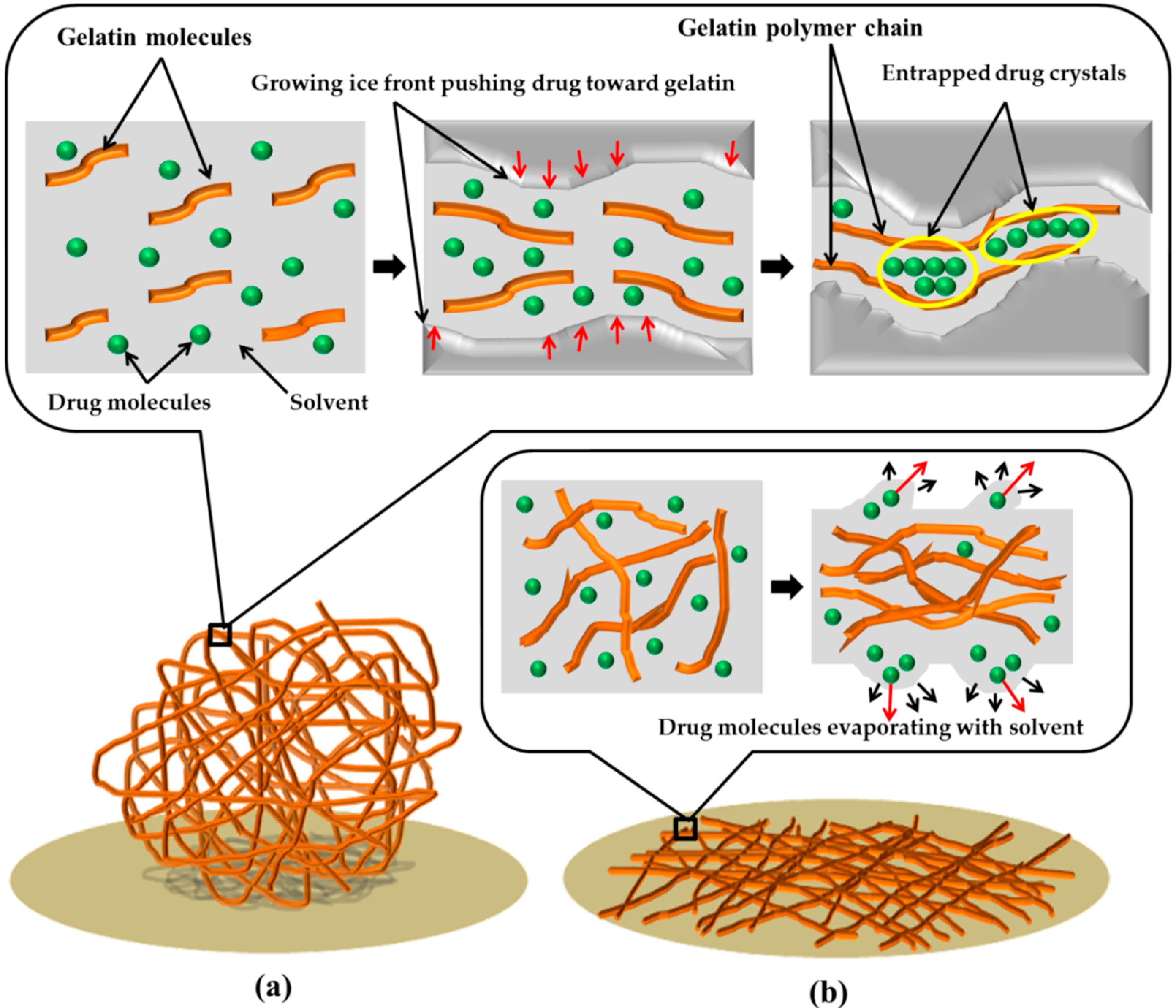 Nanomaterials 09 00918 g004 Nanomaterials 09 00918 g004