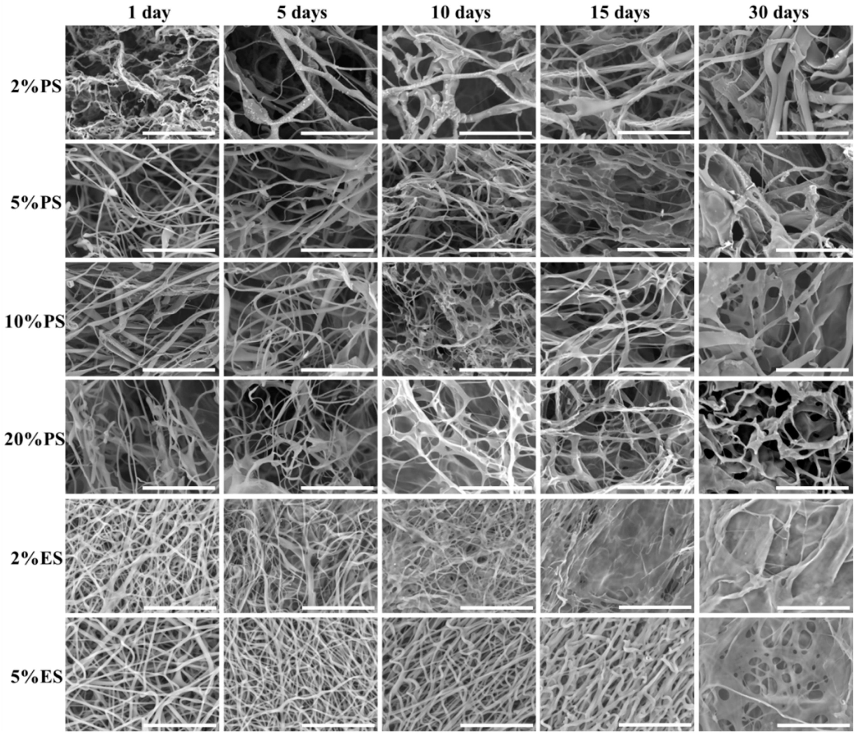 Nanomaterials 09 00918 g007 Nanomaterials 09 00918 g007