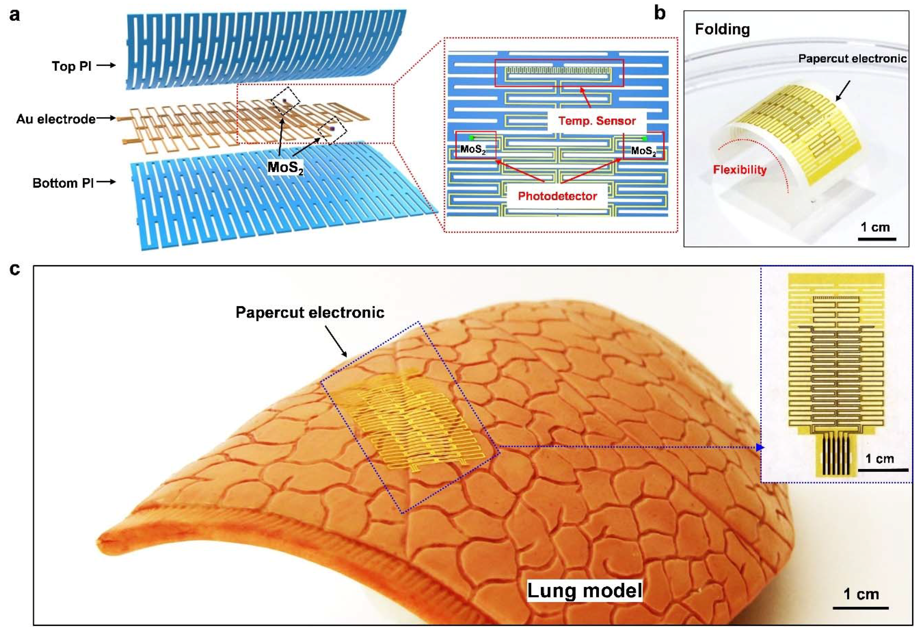 Nanomaterials 09 00922 g002