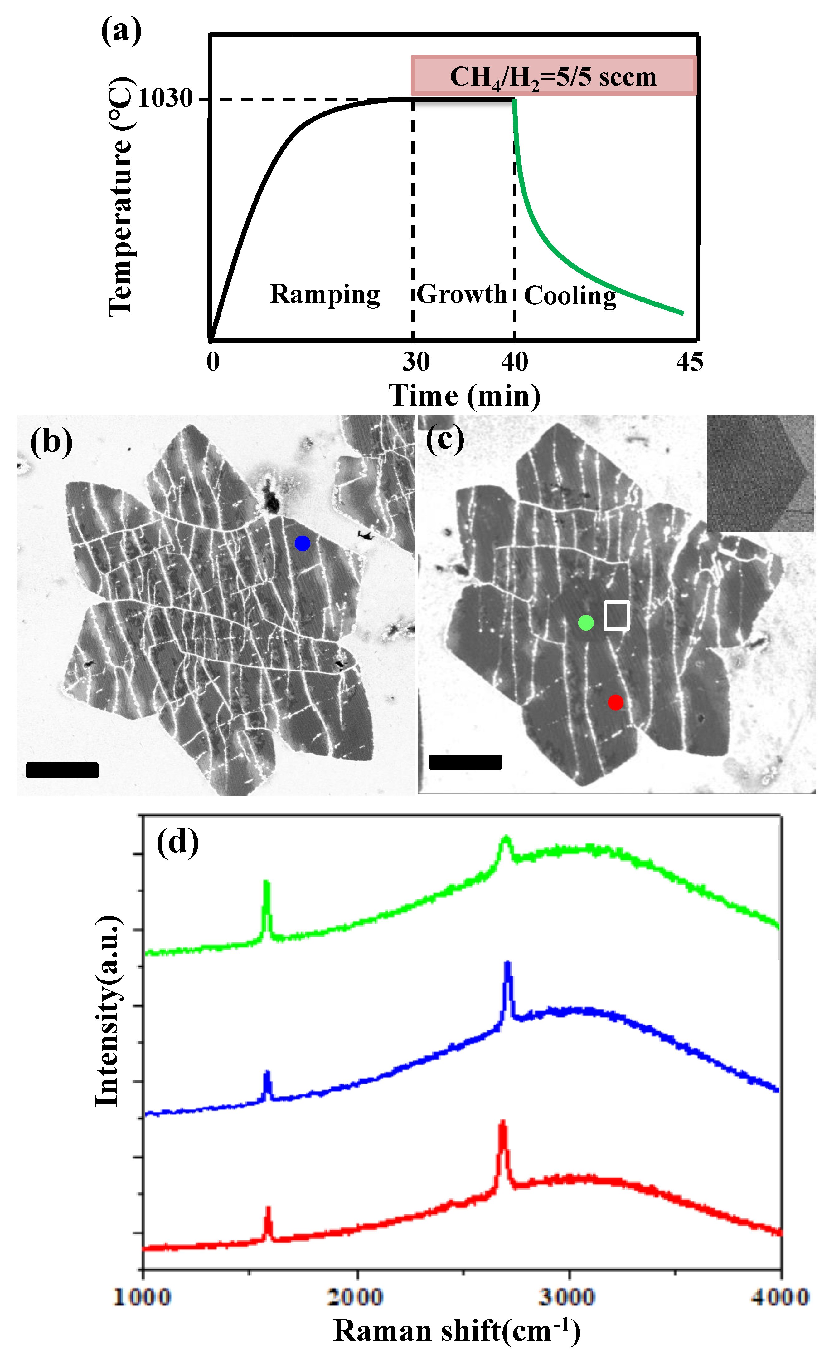 Nanomaterials 09 00930 g001