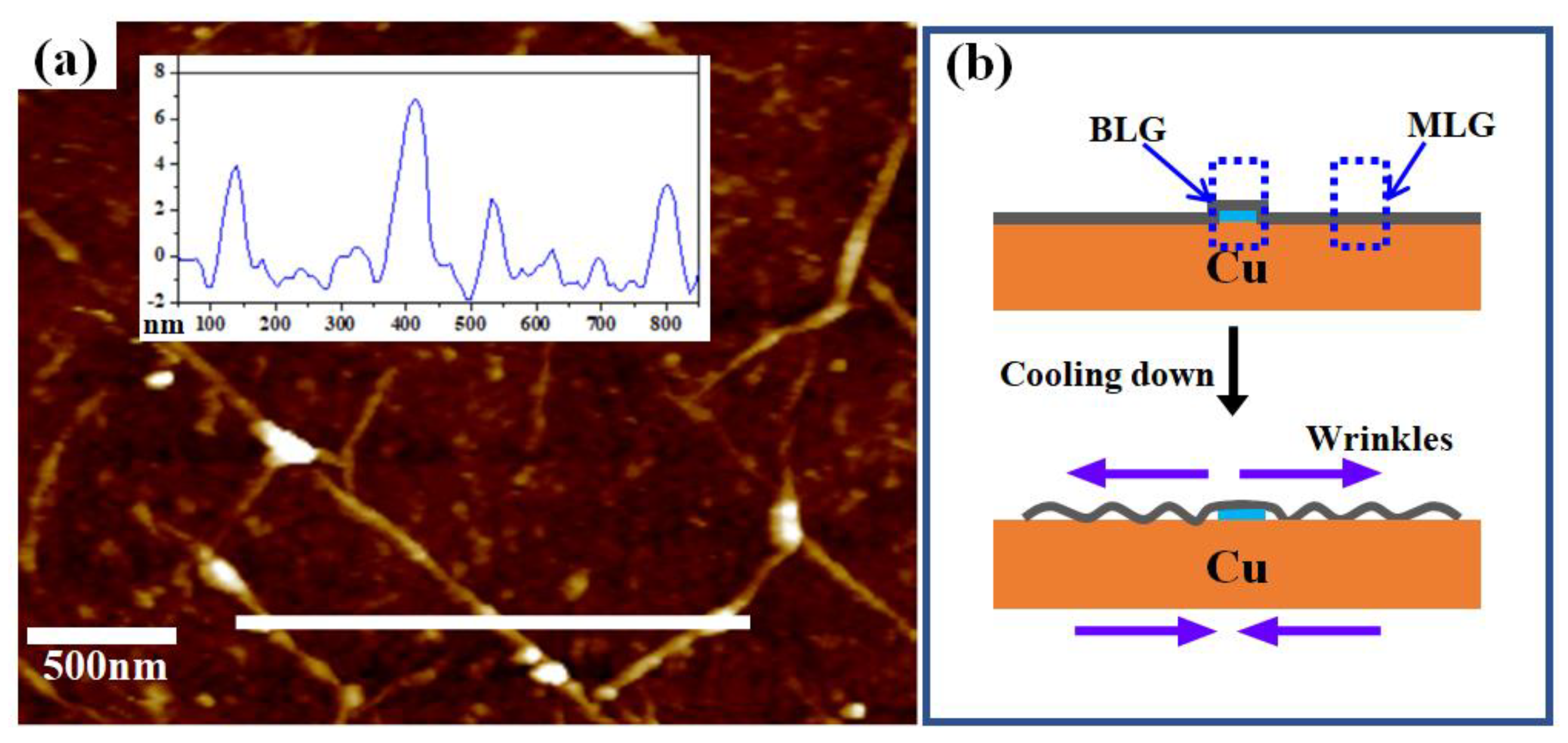 Nanomaterials 09 00930 g002