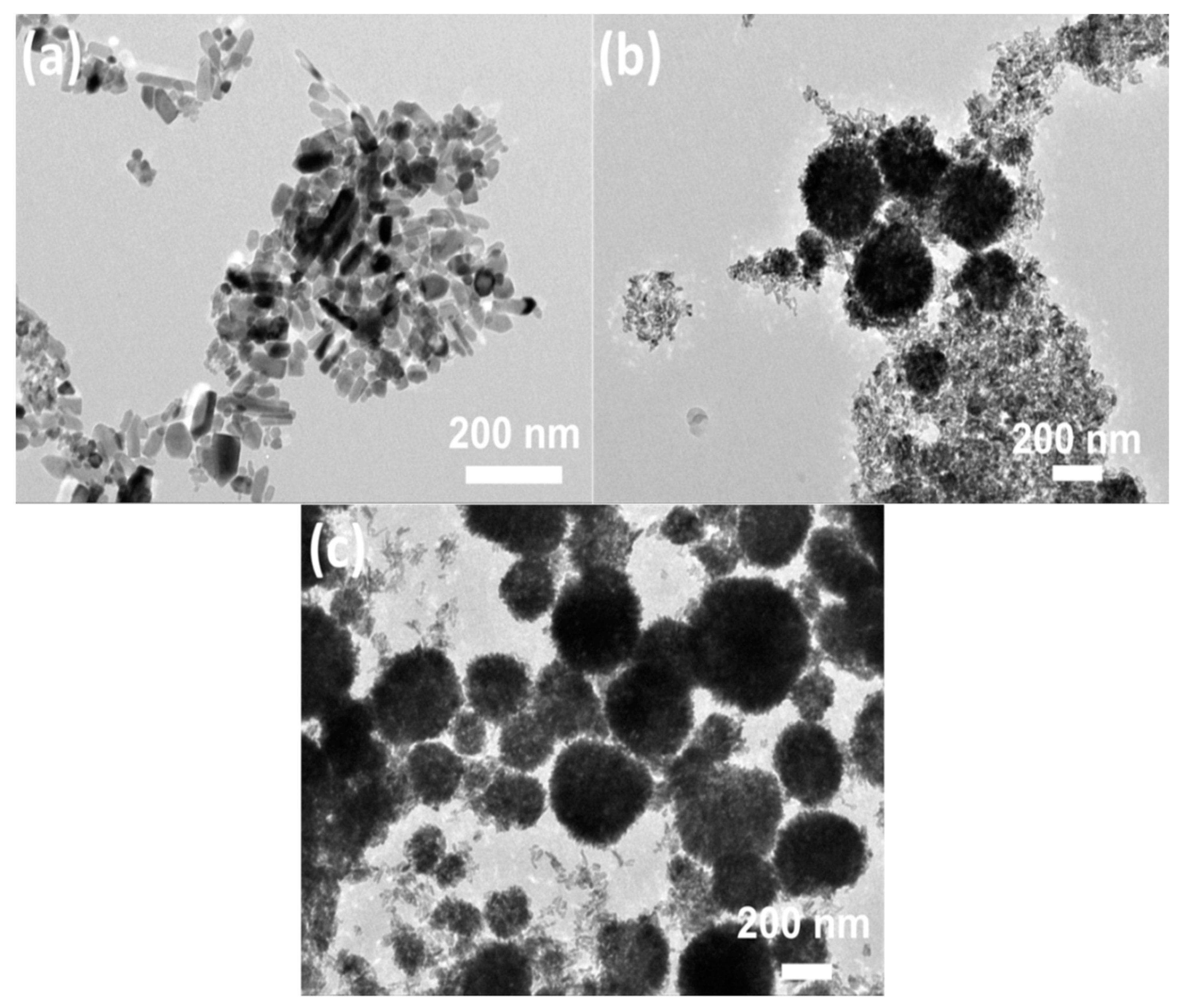 Nanomaterials 09 00931 g003