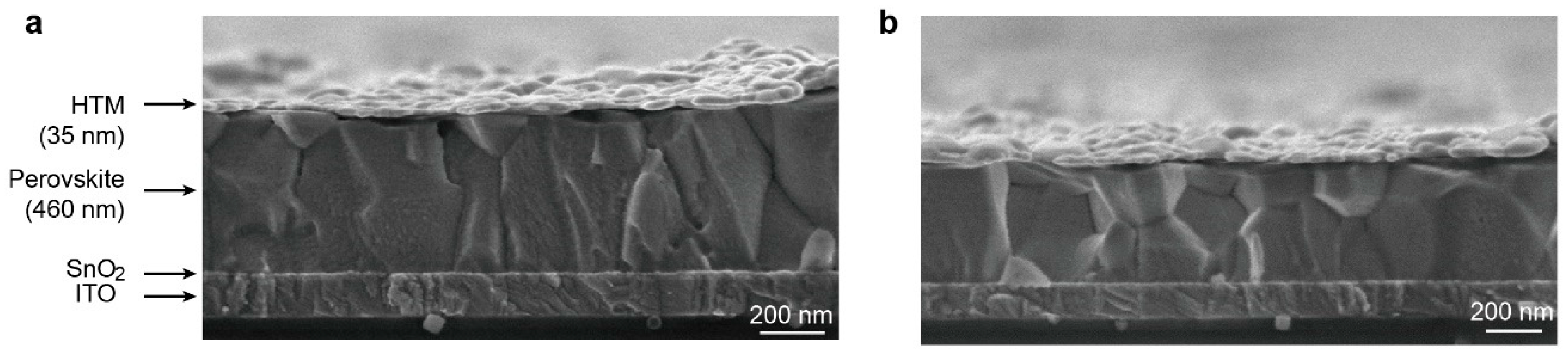 Nanomaterials 09 00935 g003 Nanomaterials 09 00935 g003