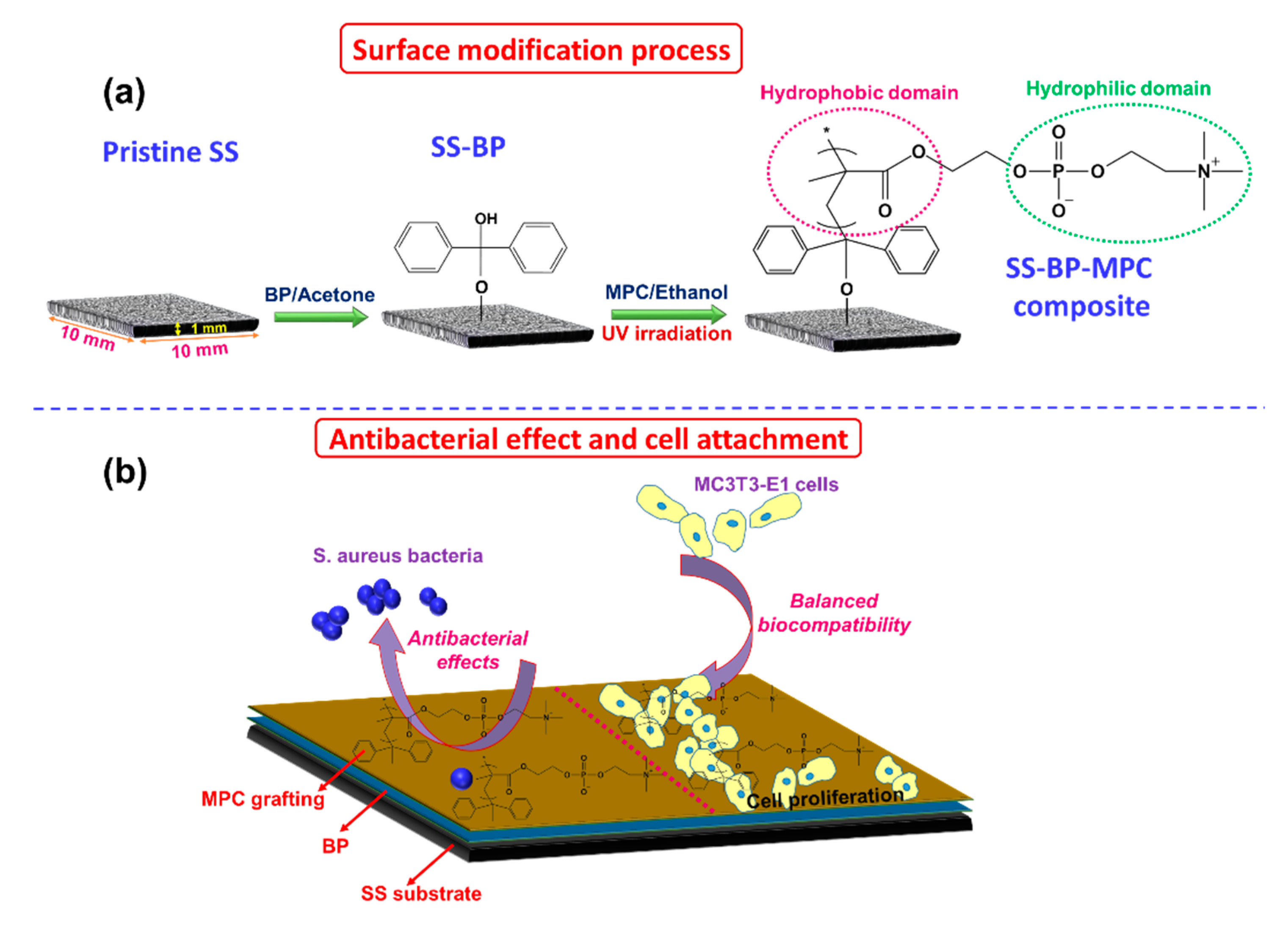 Nanomaterials 09 00939 g001 Nanomaterials 09 00939 g001