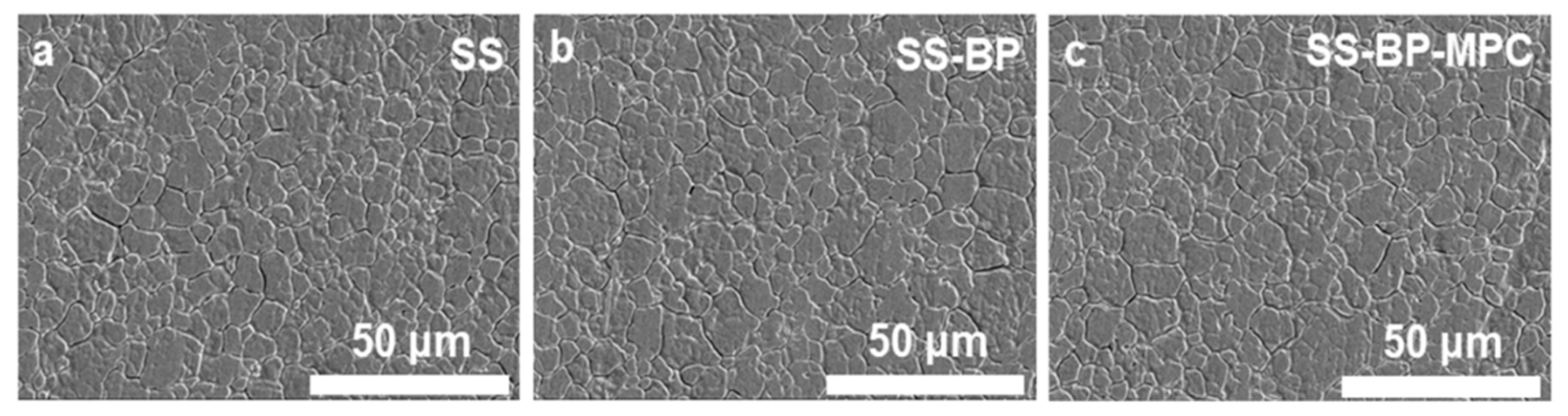 Nanomaterials 09 00939 g002 Nanomaterials 09 00939 g002