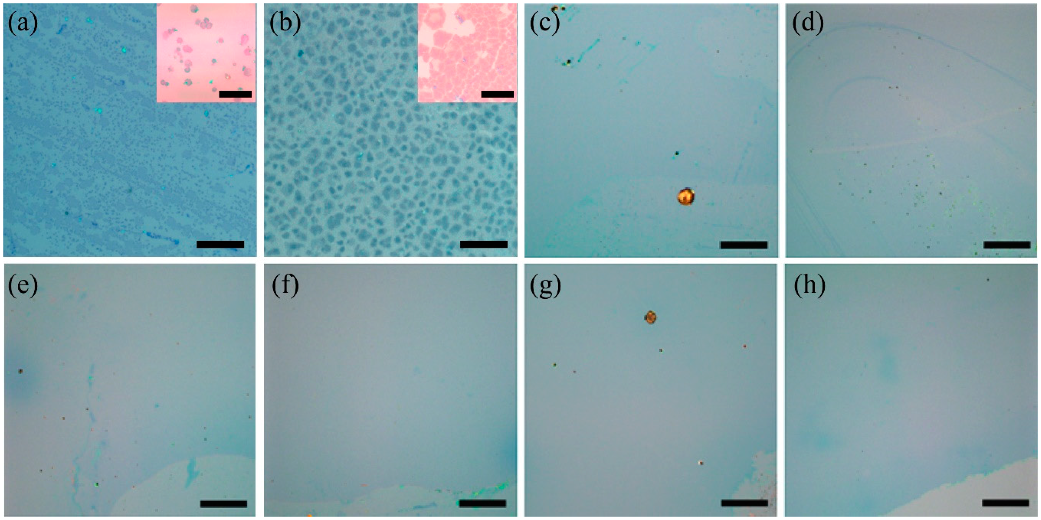 Nanomaterials 09 00964 g003