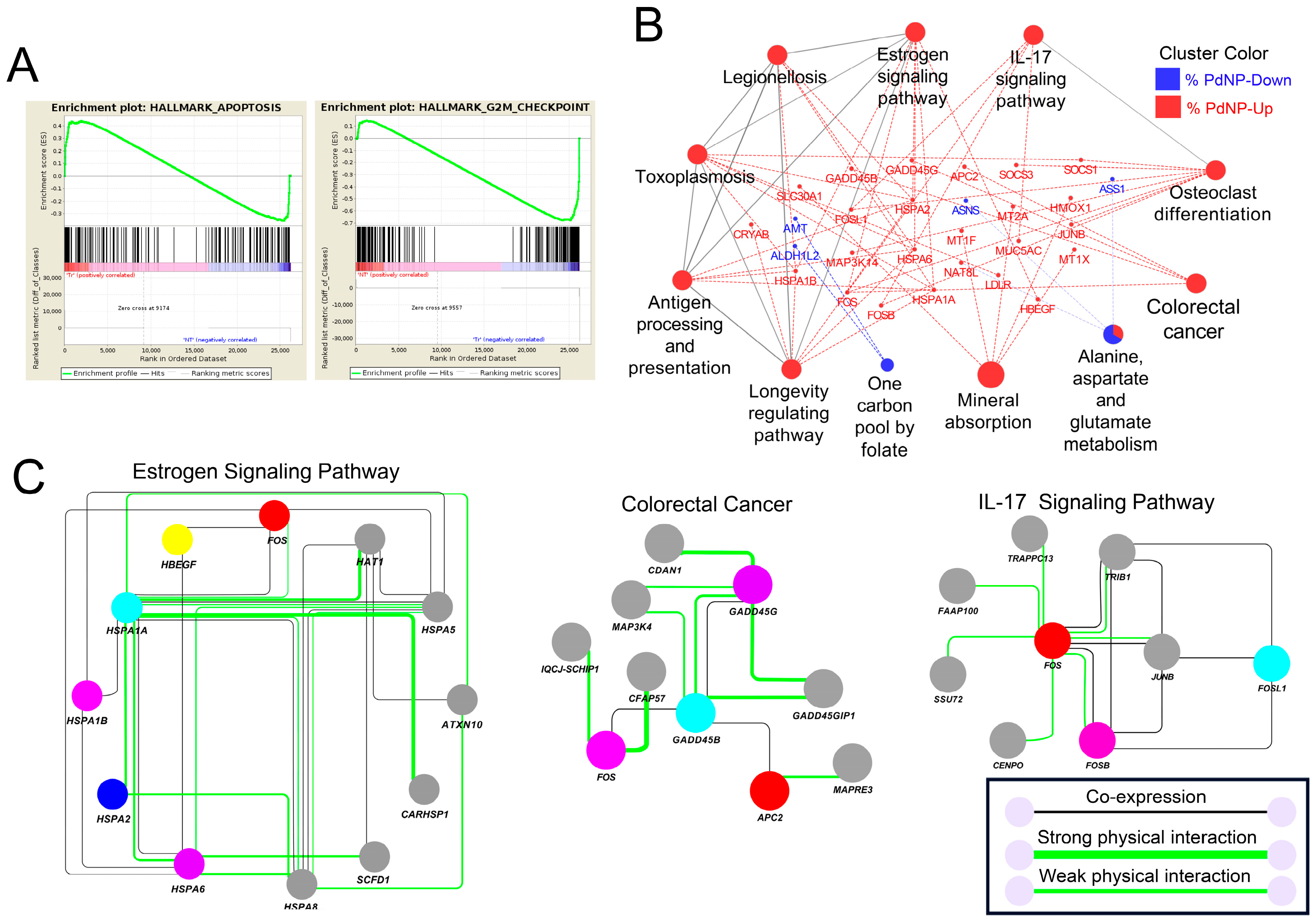 Nanomaterials 09 00969 g010