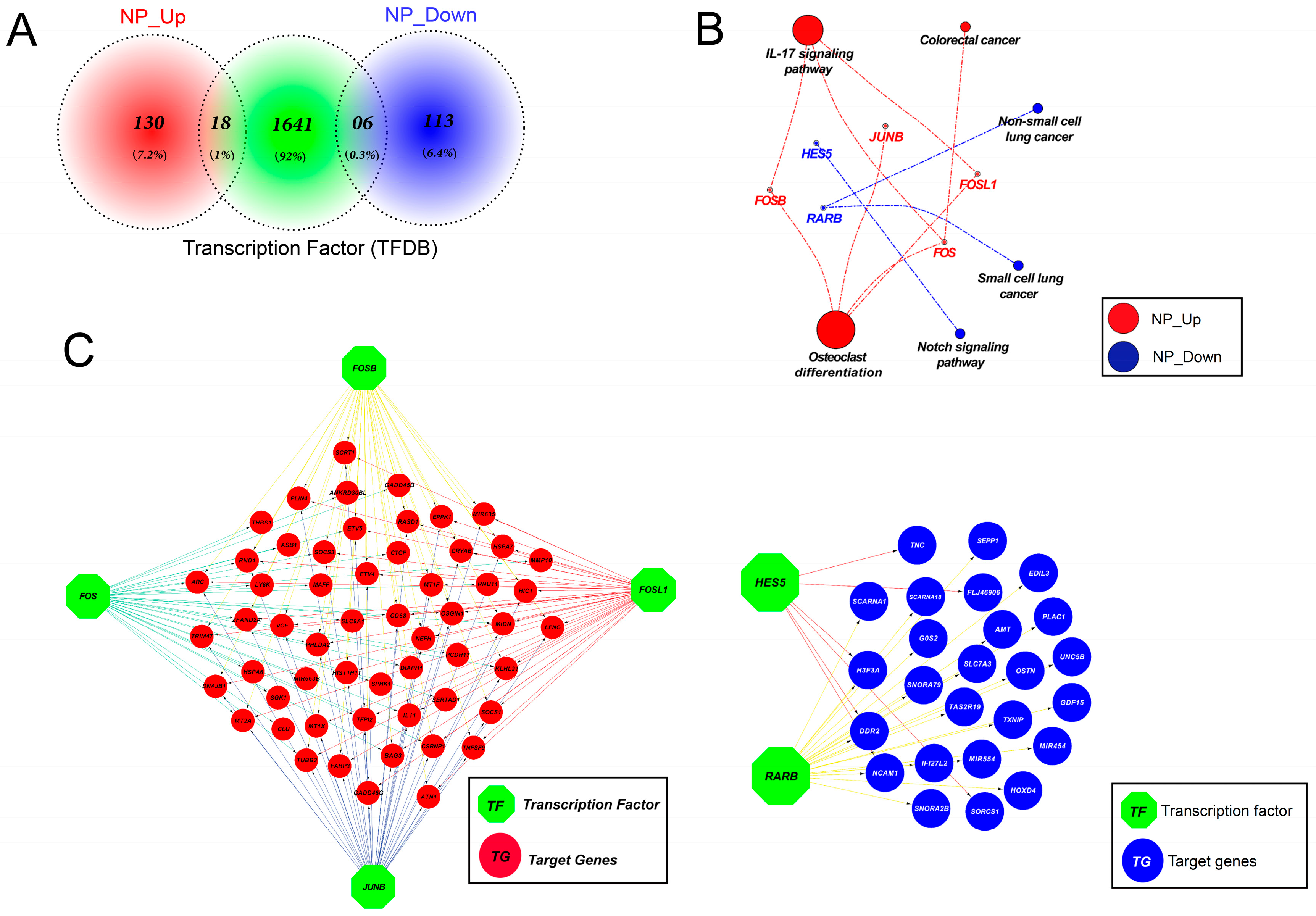 Nanomaterials 09 00969 g011