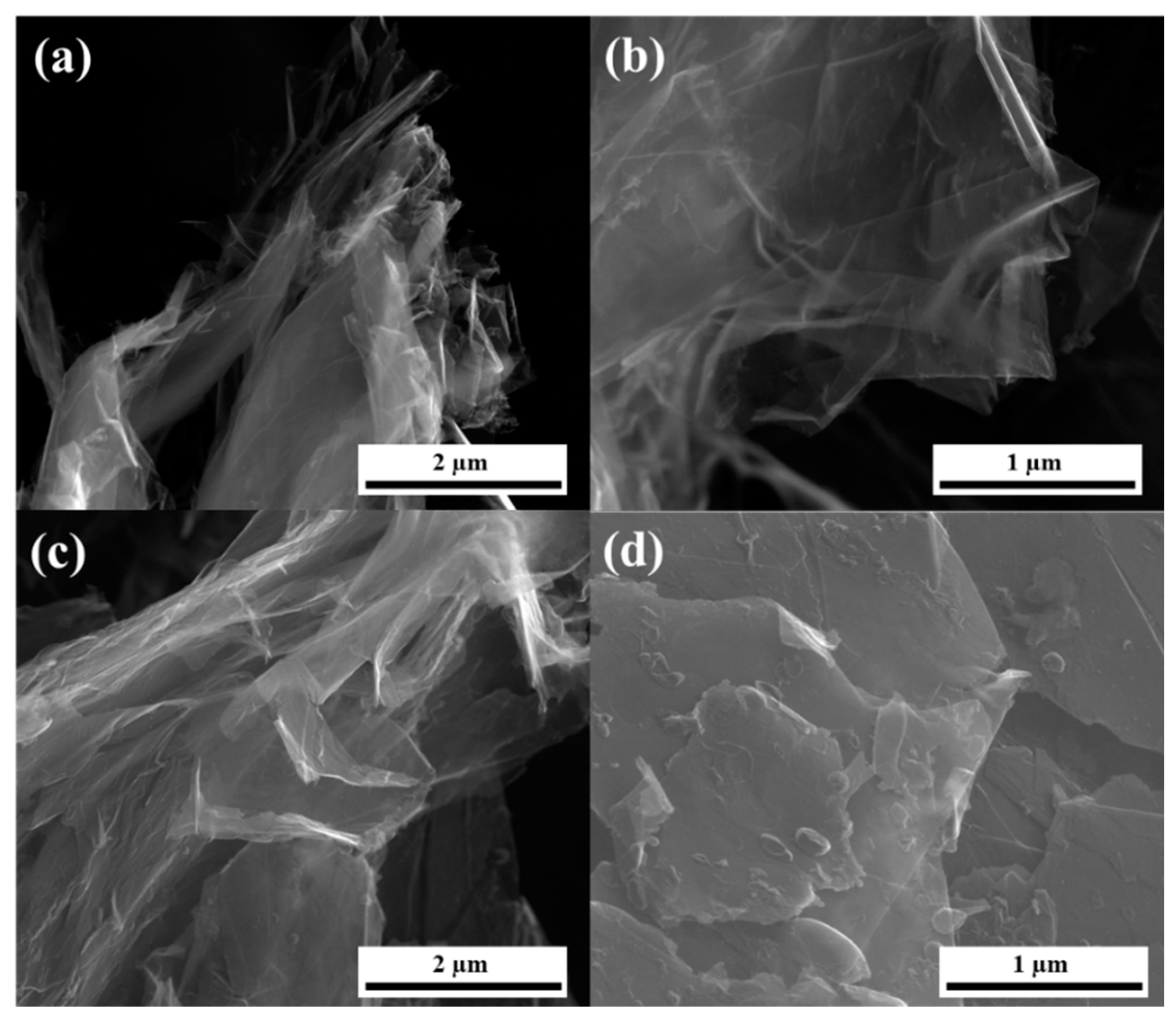 Nanomaterials 09 00971 g004