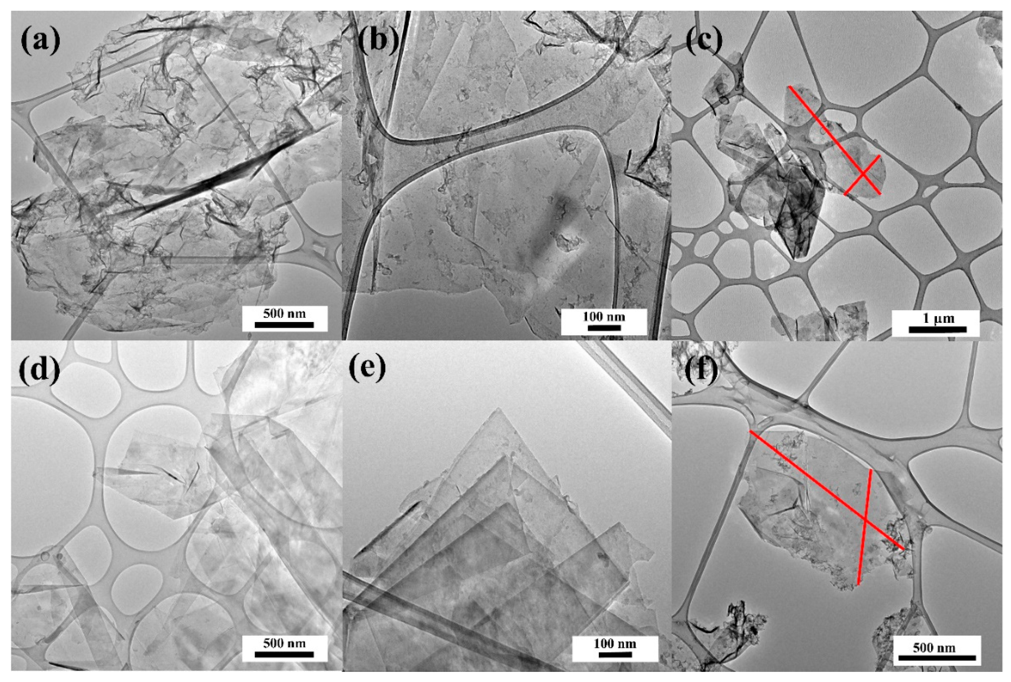 Nanomaterials 09 00971 g005