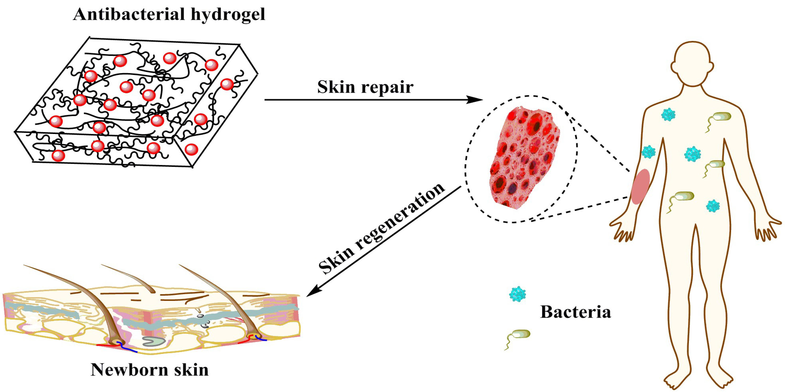 Nanomaterials 09 00972 g001