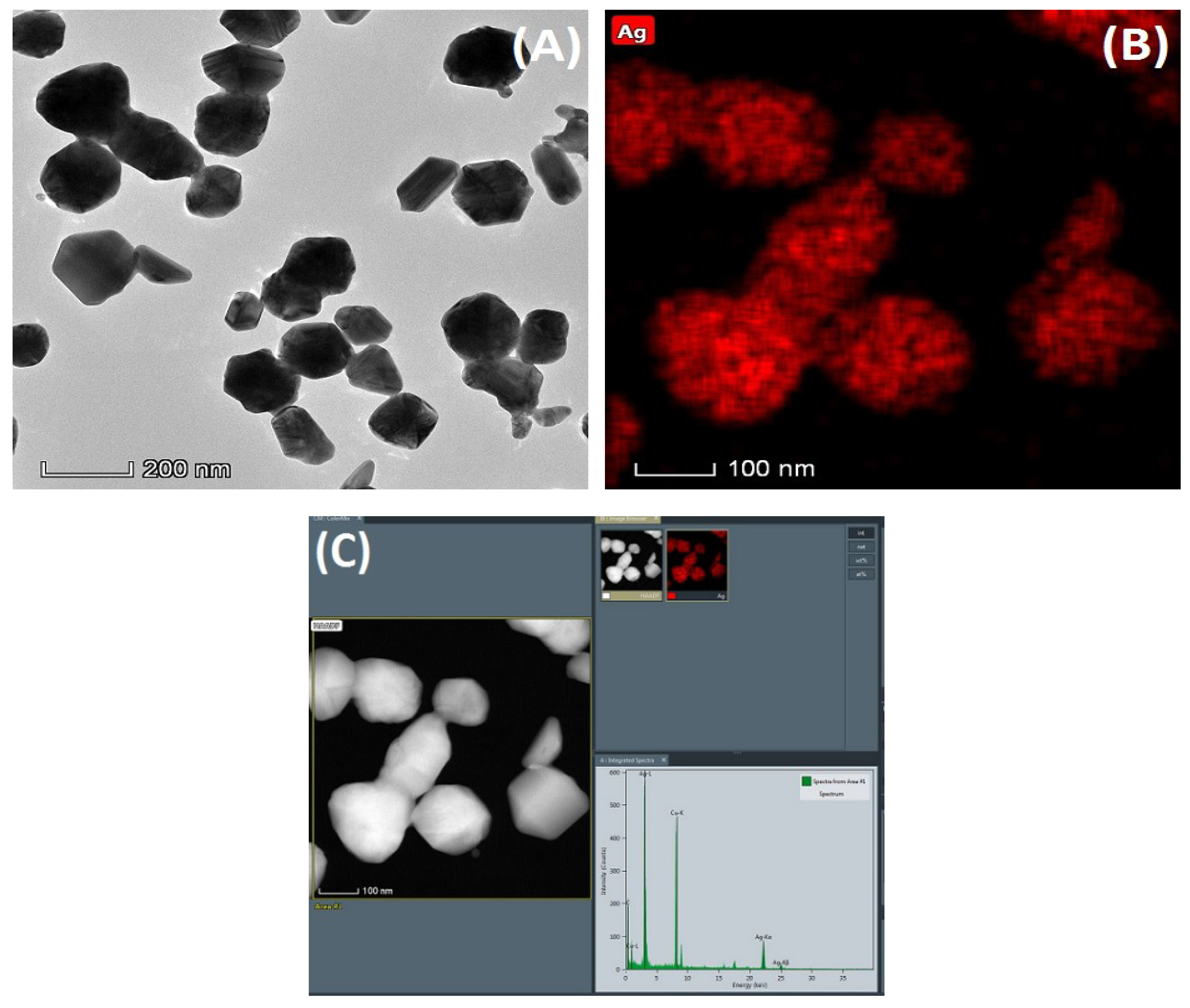 Nanomaterials 09 00972 g003