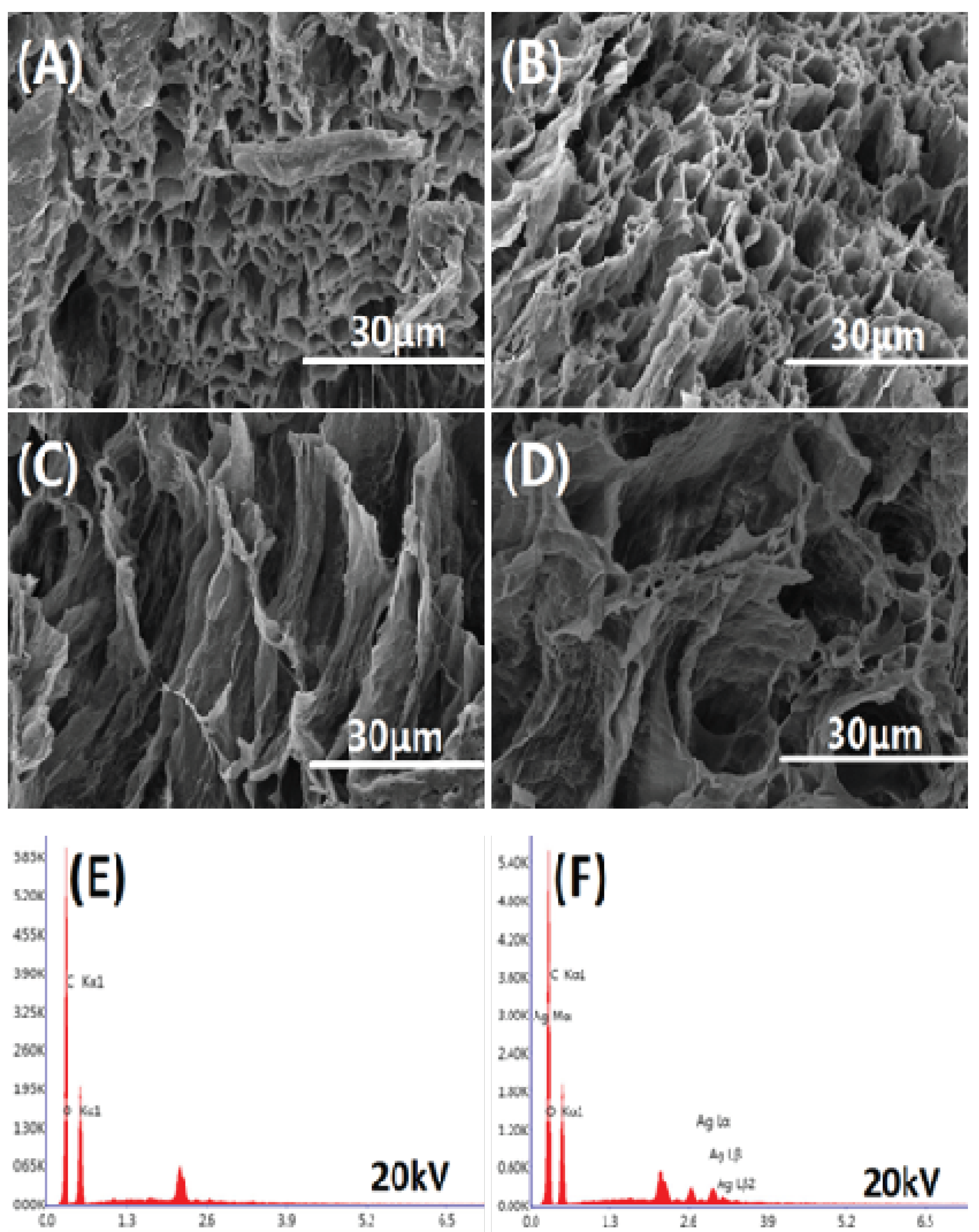 Nanomaterials 09 00972 g006