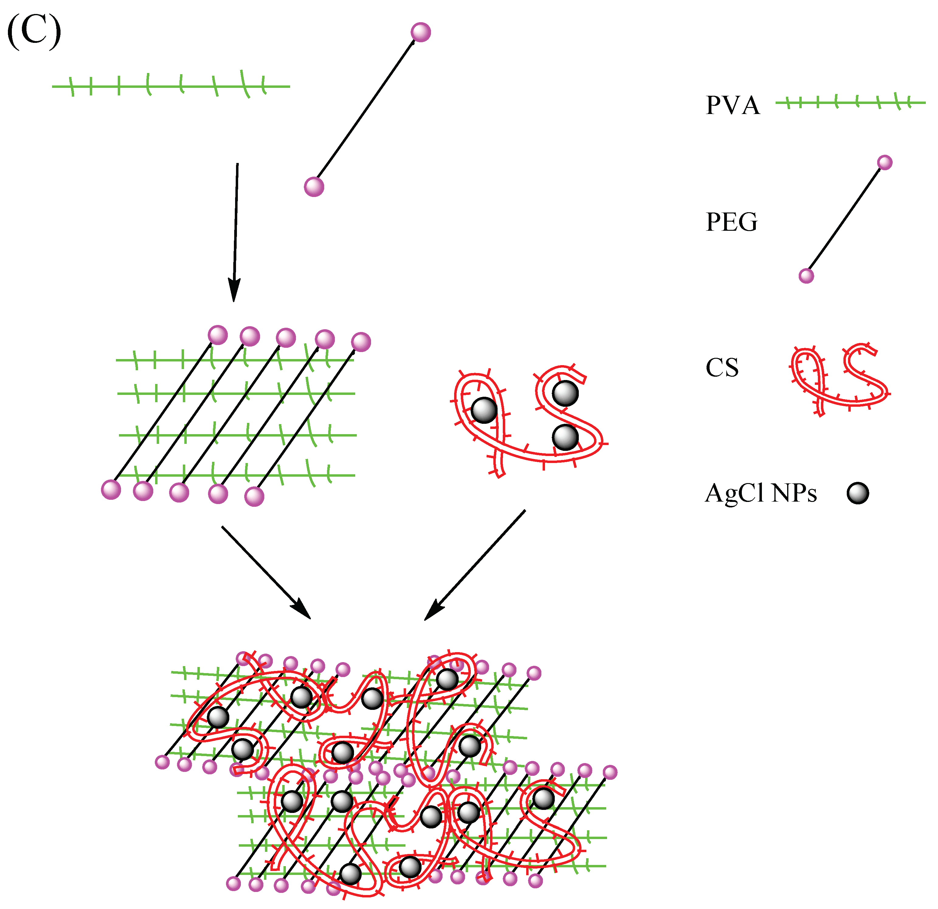 Nanomaterials 09 00972 g010b