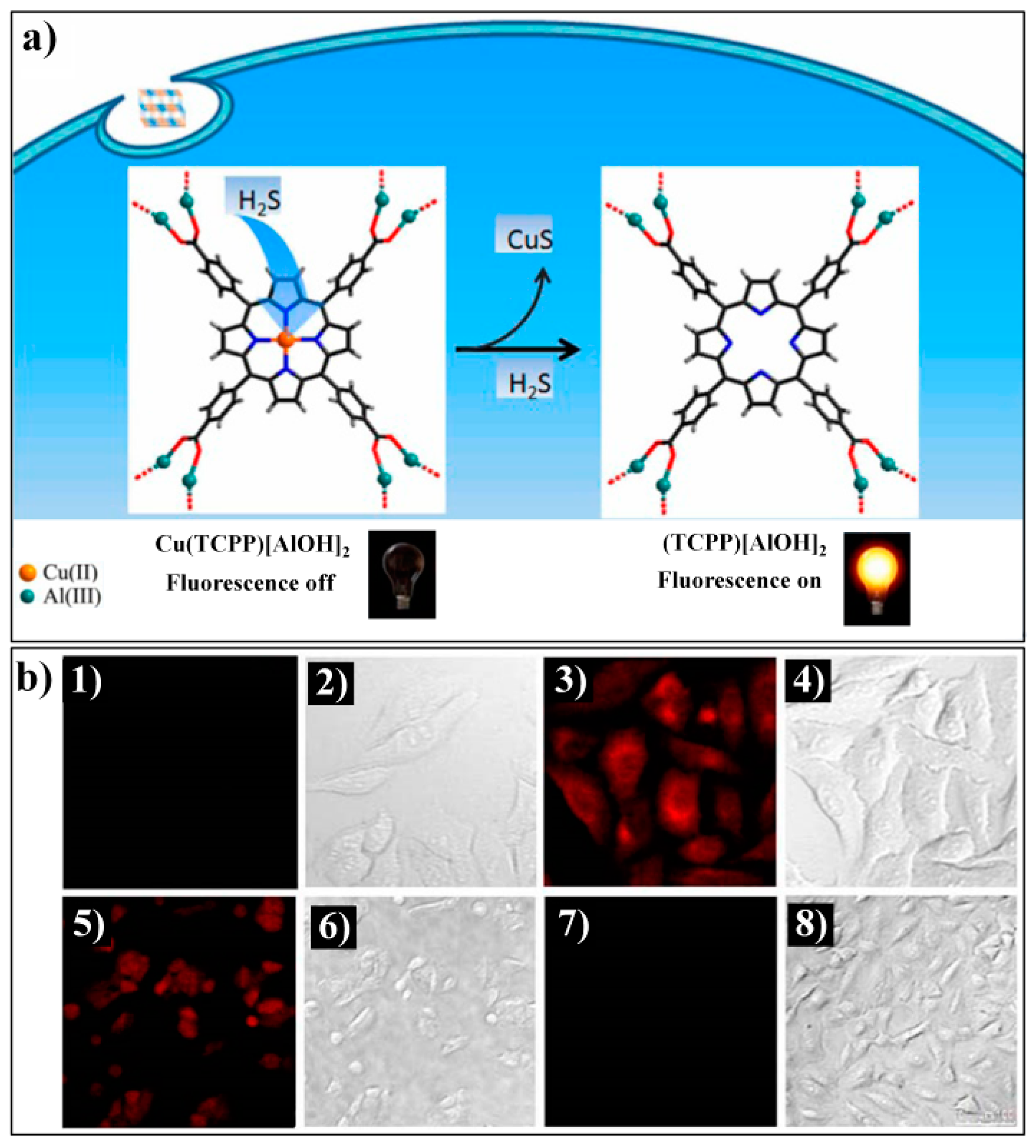 Nanomaterials 09 00974 g005