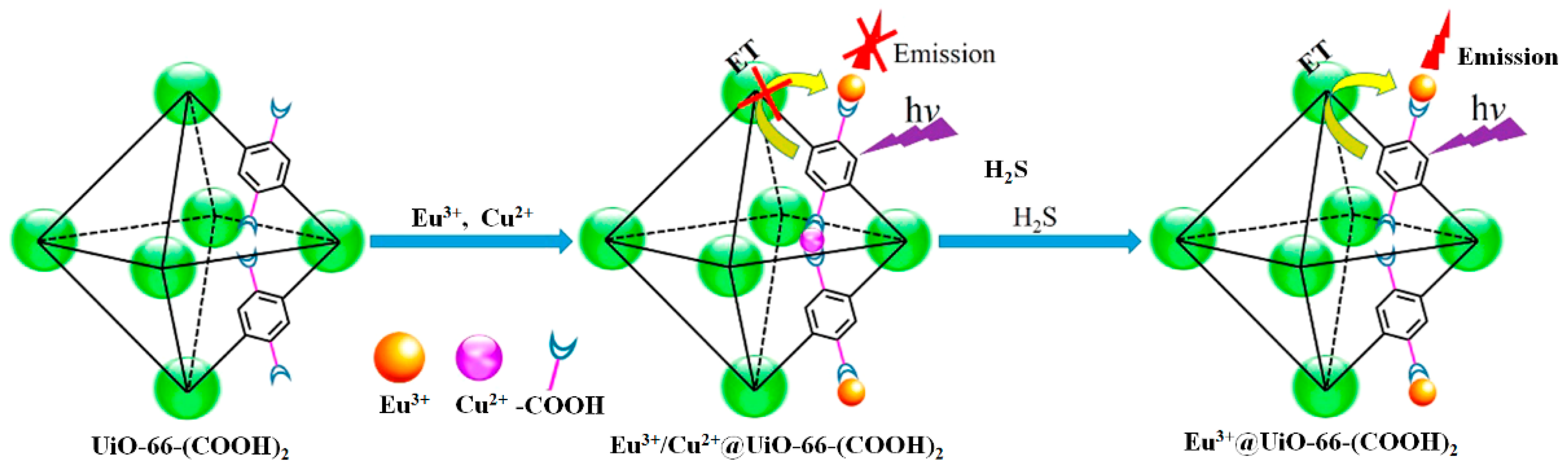 Nanomaterials 09 00974 g006
