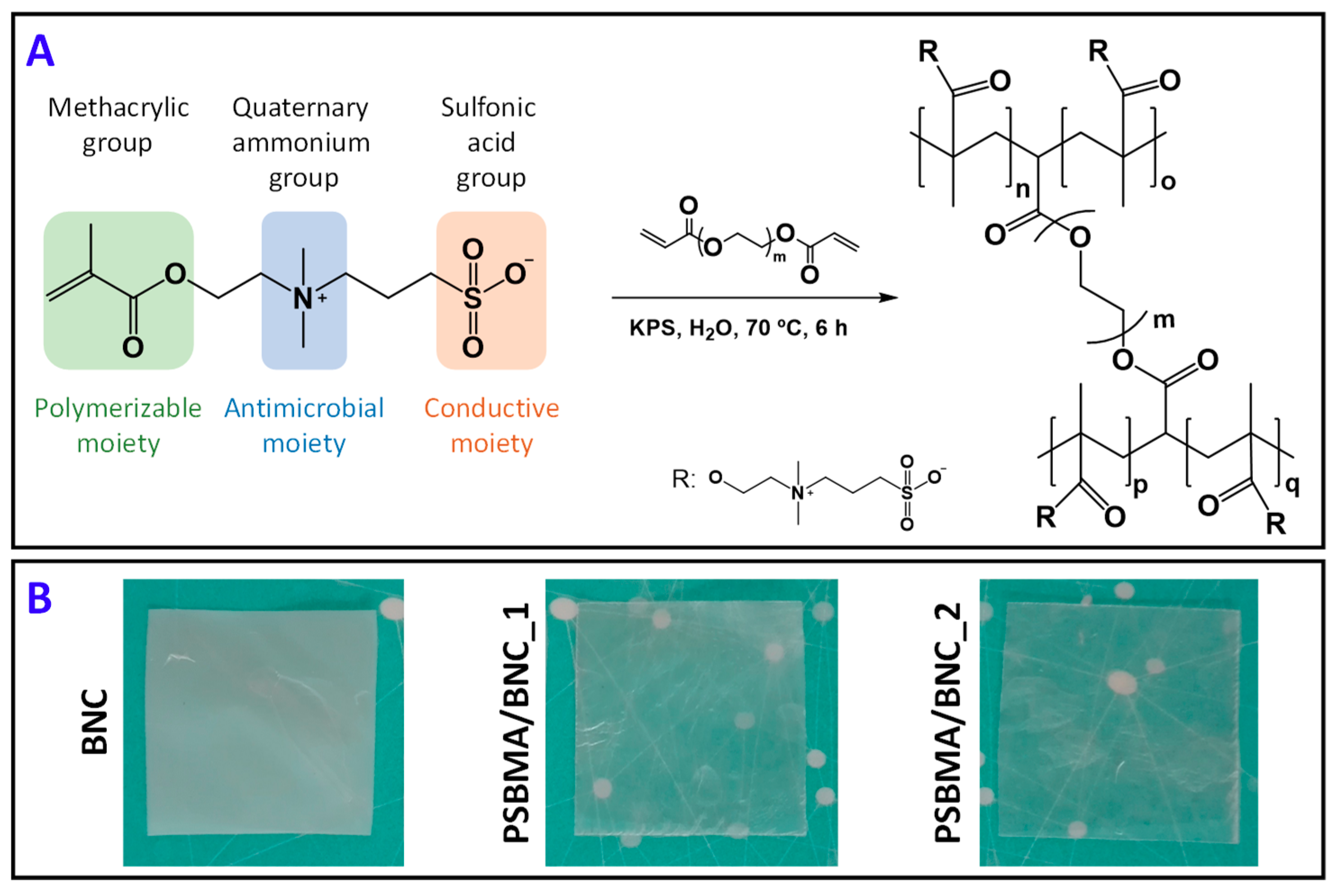 Nanomaterials 09 00980 g001 Nanomaterials 09 00980 g001