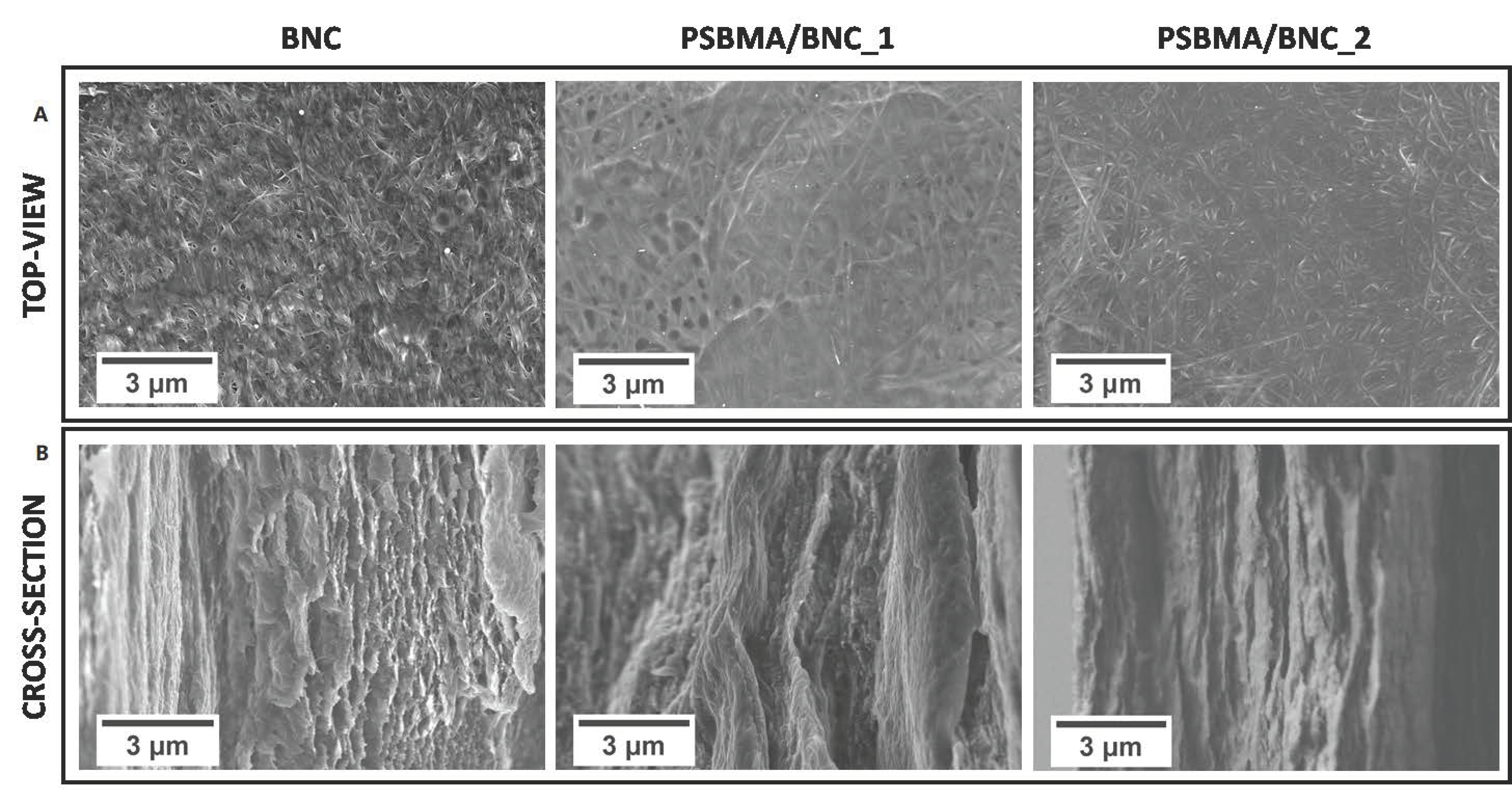 Nanomaterials 09 00980 g003 Nanomaterials 09 00980 g003