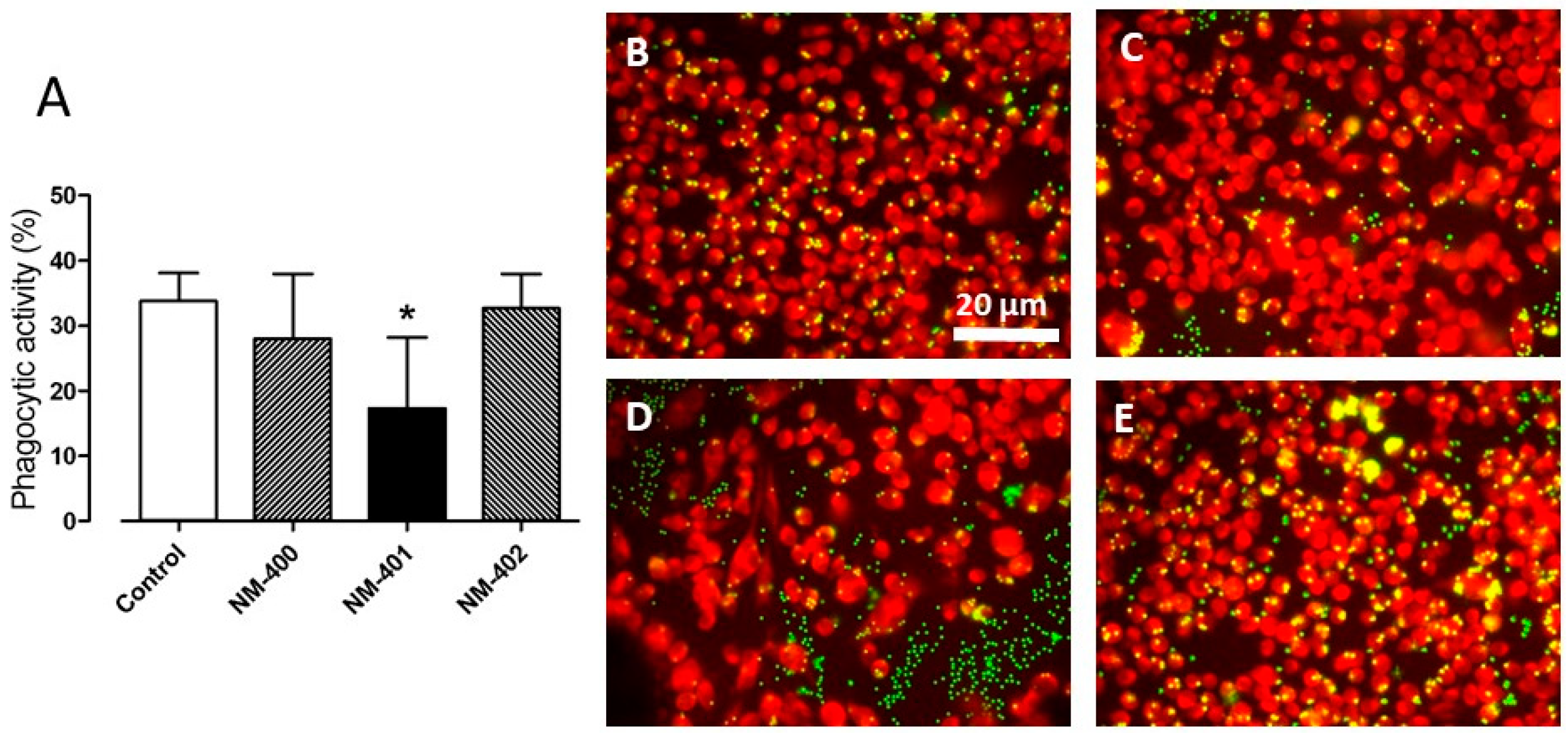 Nanomaterials 09 00982 g005