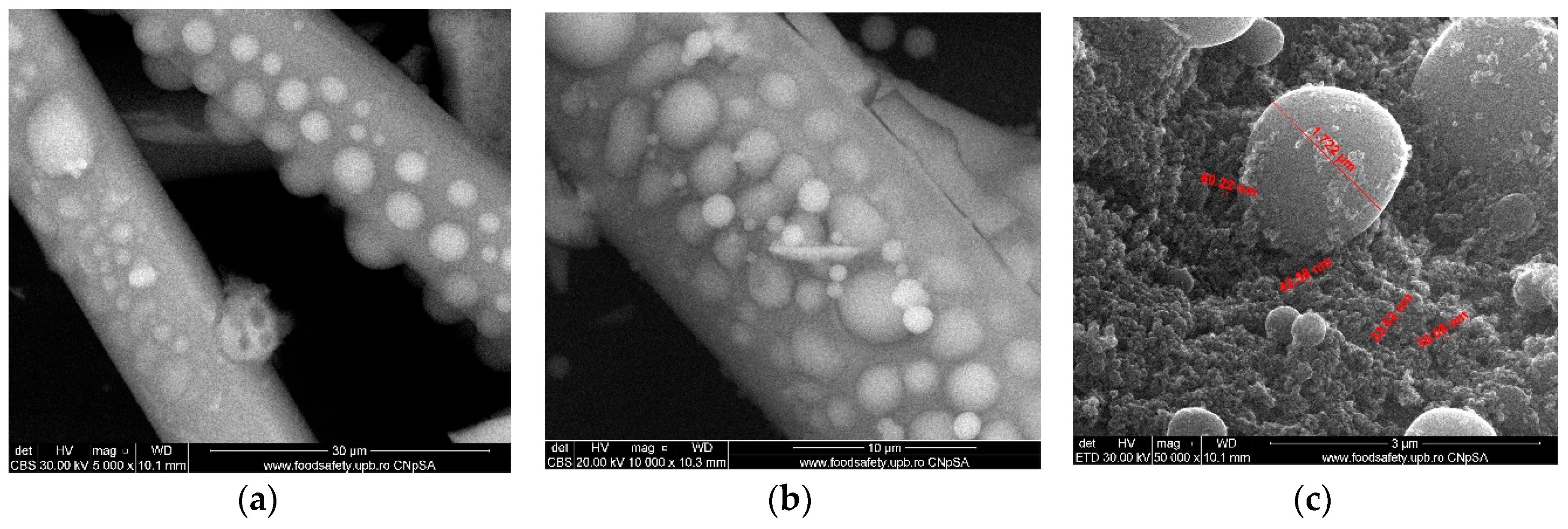 Nanomaterials 09 00985 g004