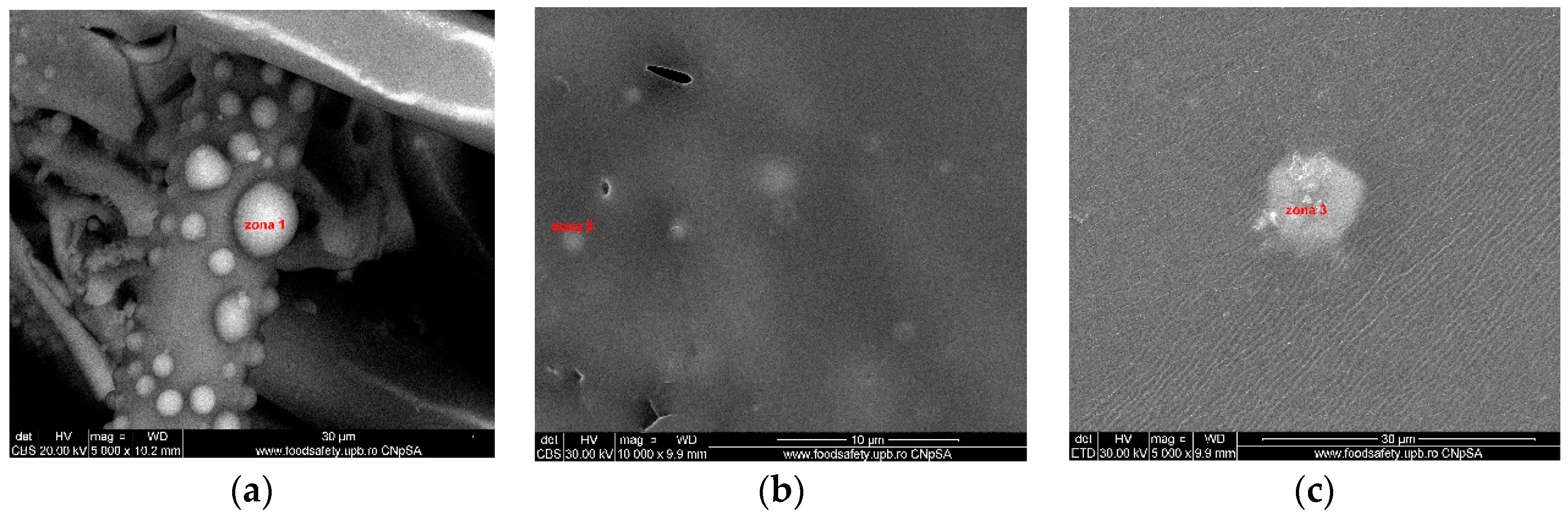 Nanomaterials 09 00985 g006