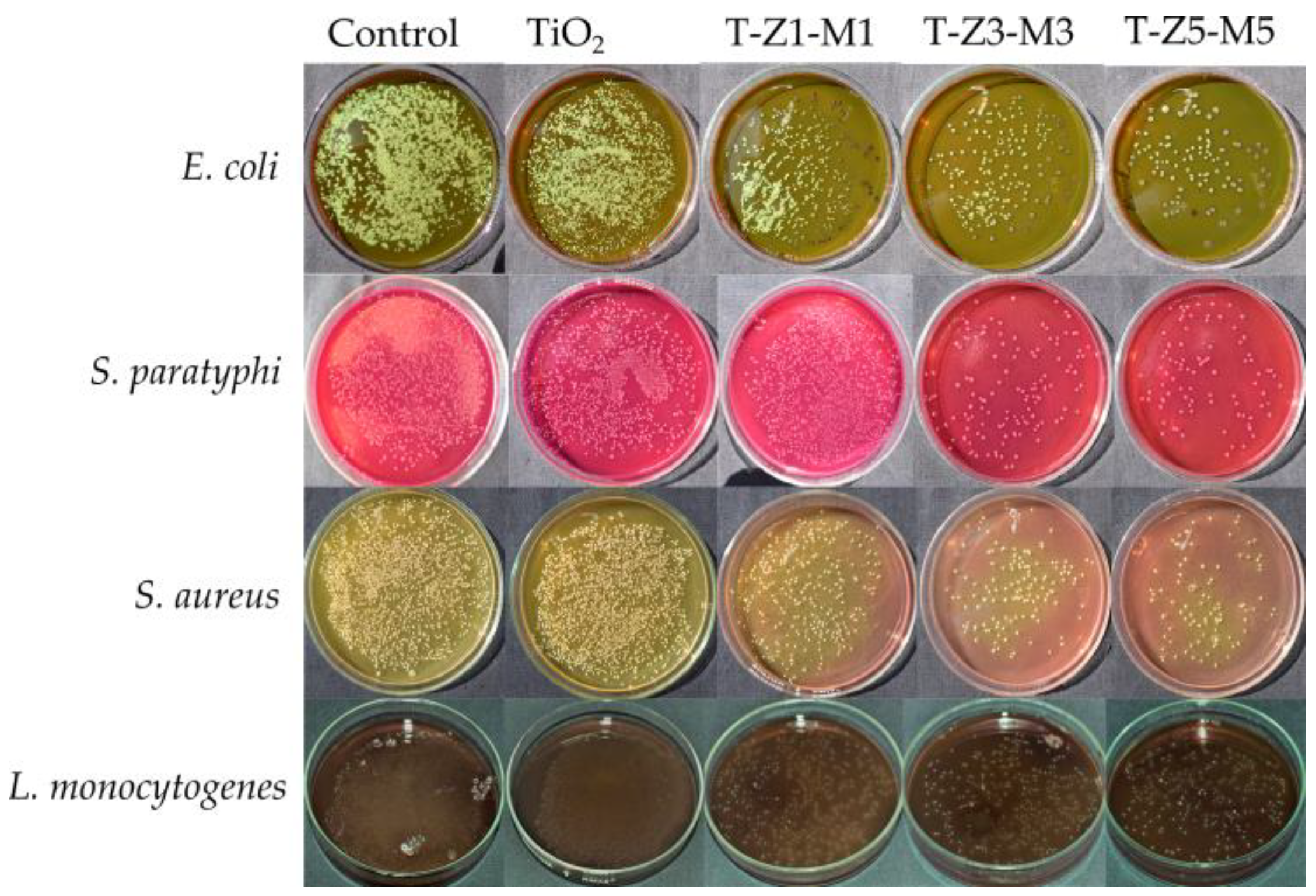 Nanomaterials 09 00992 g005 Nanomaterials 09 00992 g005