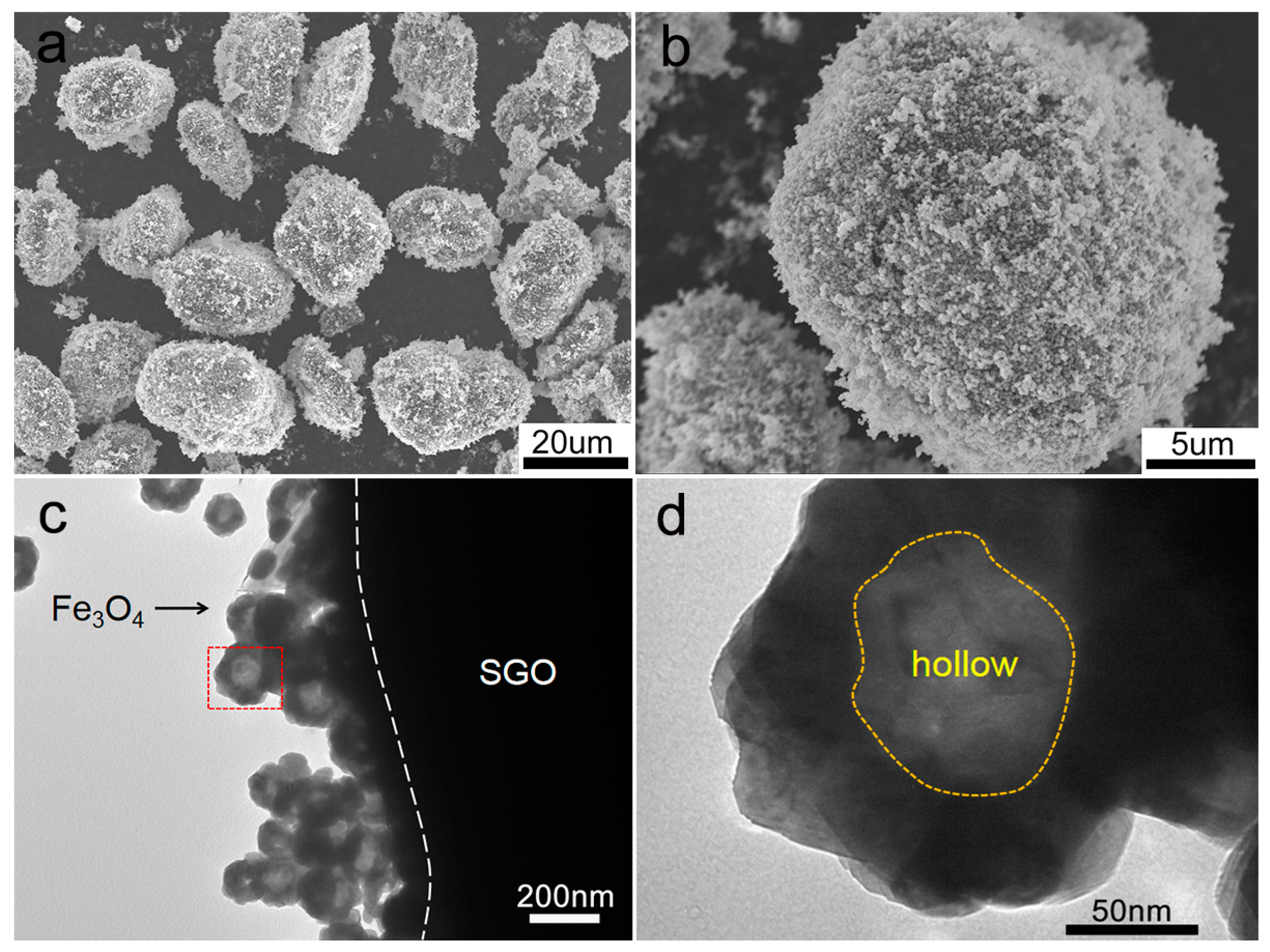 Nanomaterials 09 00996 g003
