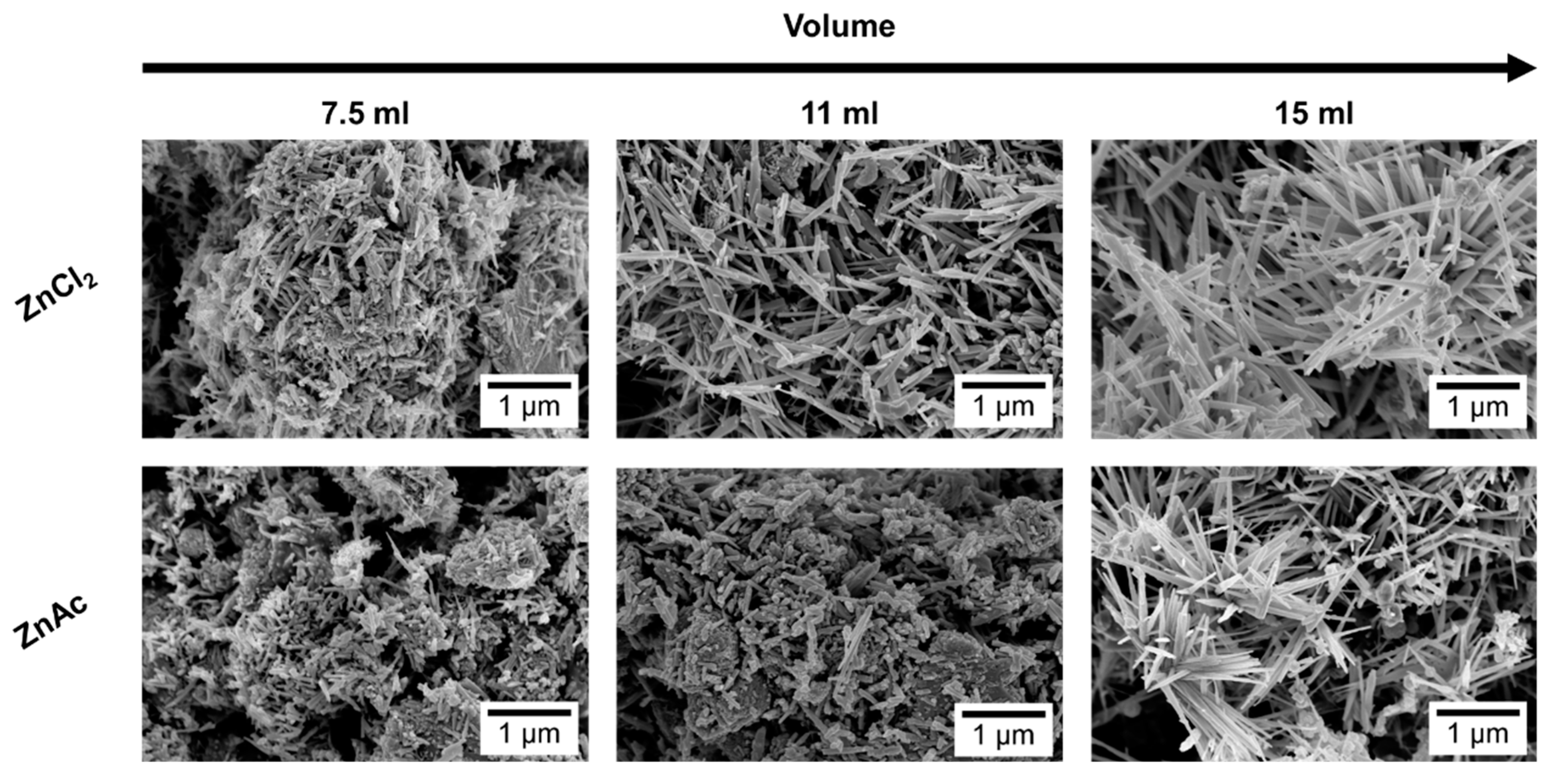 Nanomaterials 09 01002 g002