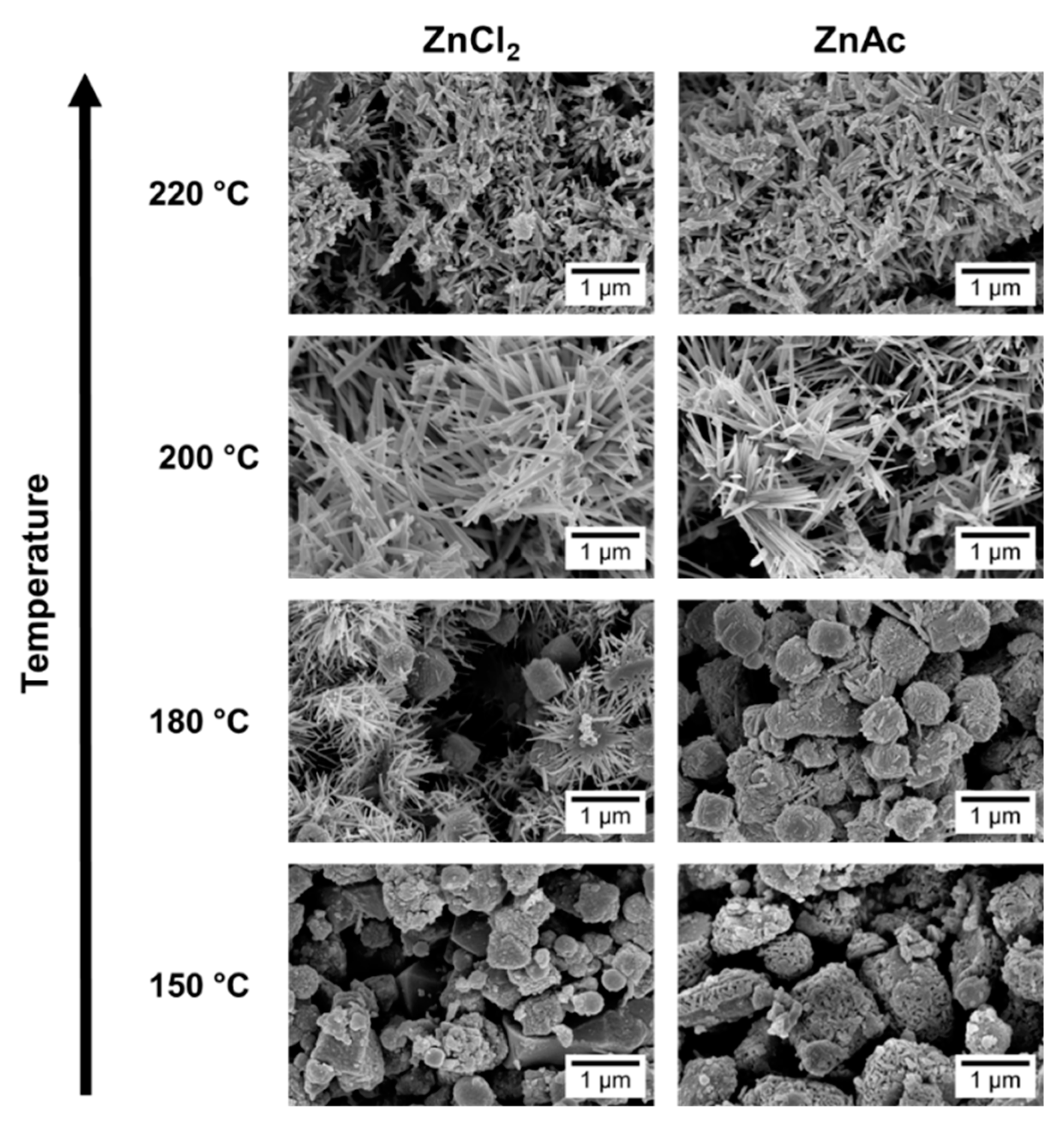 Nanomaterials 09 01002 g003