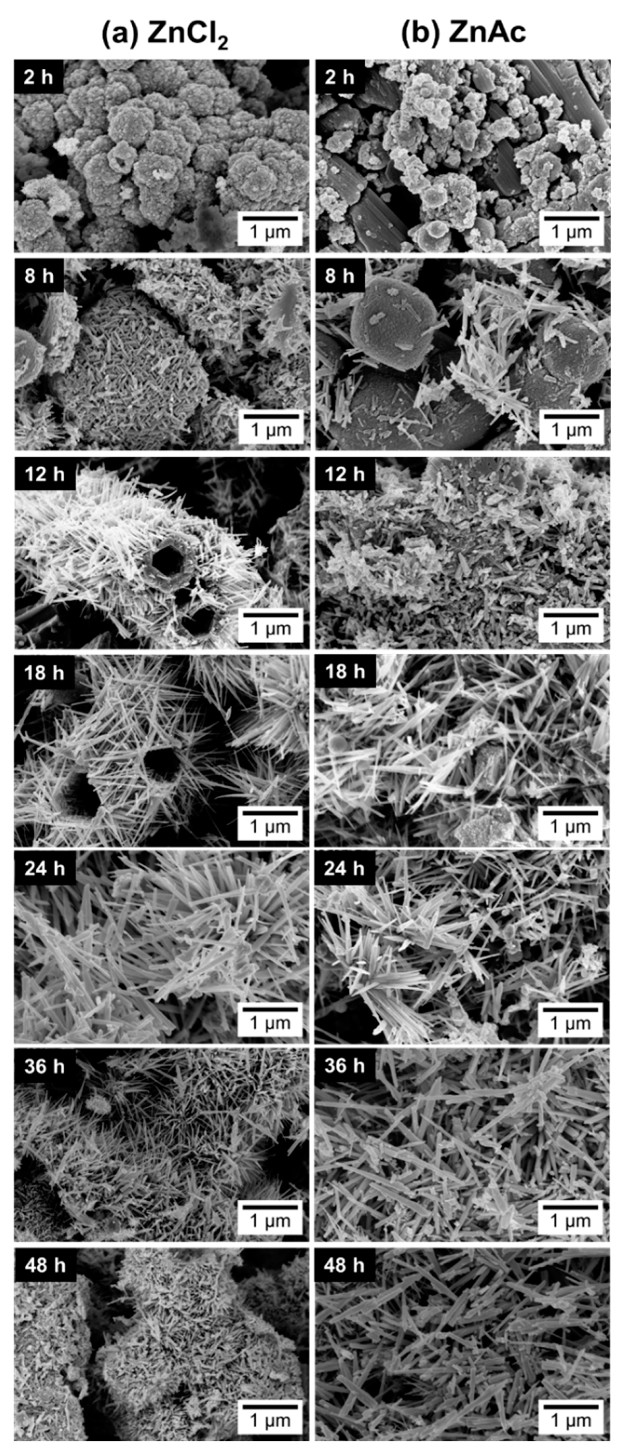 Nanomaterials 09 01002 g006