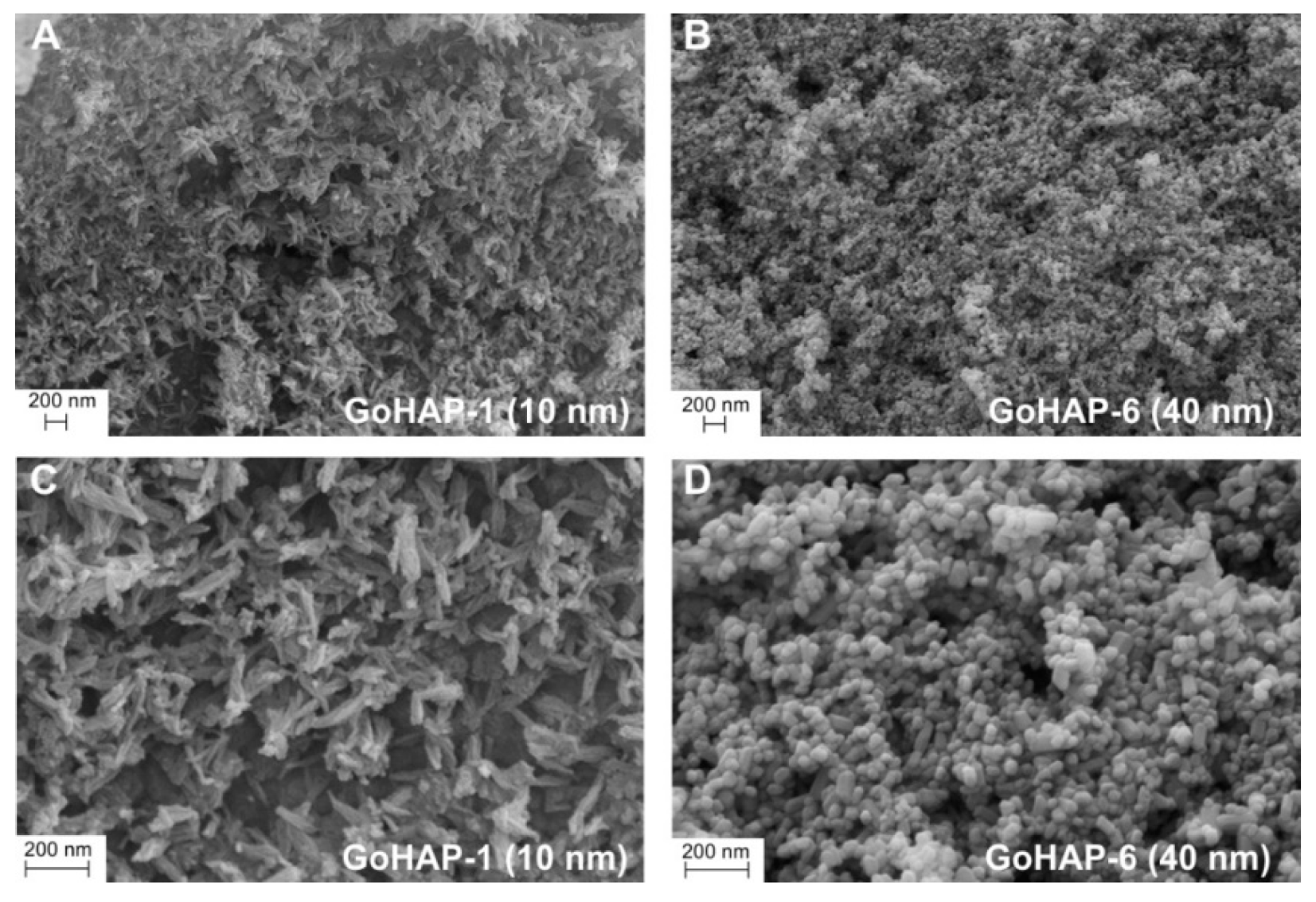Nanomaterials 09 01005 g002 Nanomaterials 09 01005 g002