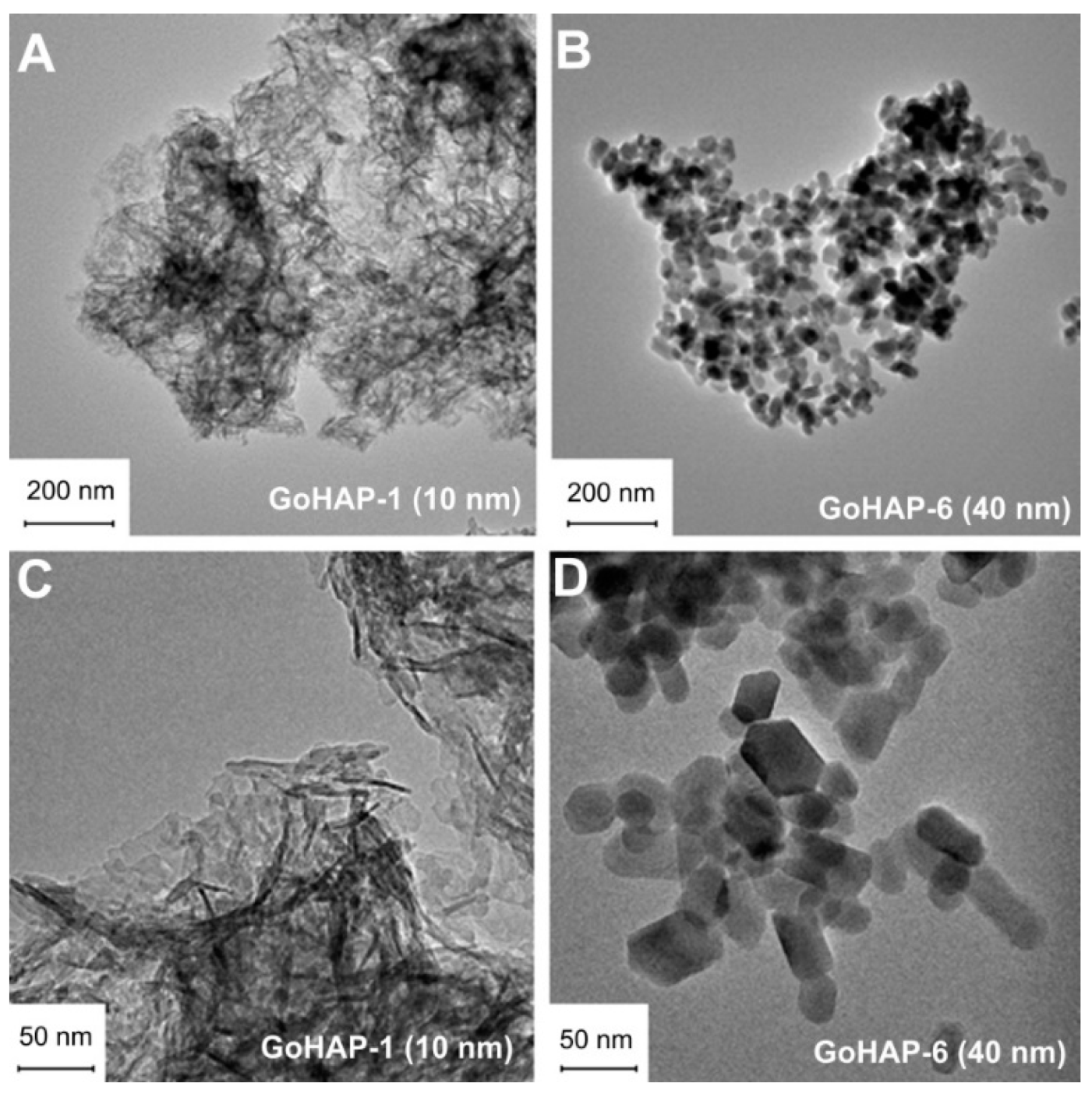 Nanomaterials 09 01005 g003 Nanomaterials 09 01005 g003