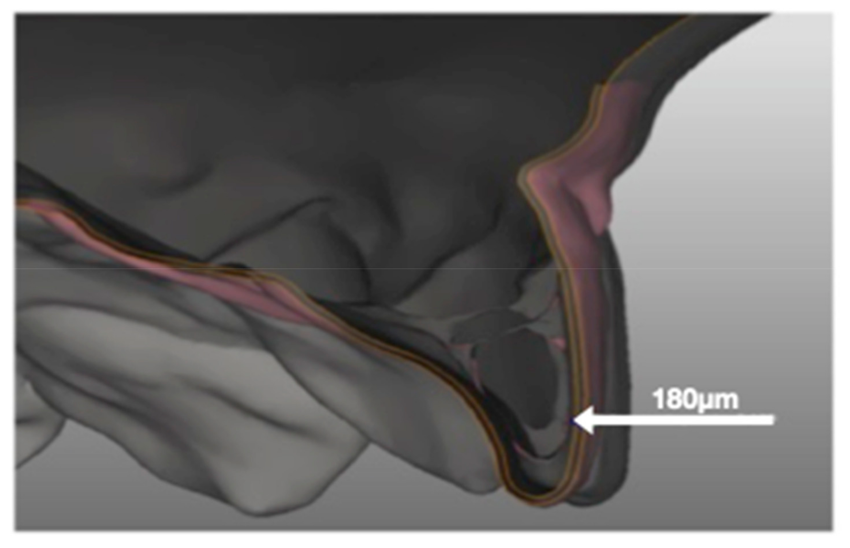 Nanomaterials 09 01010 g002